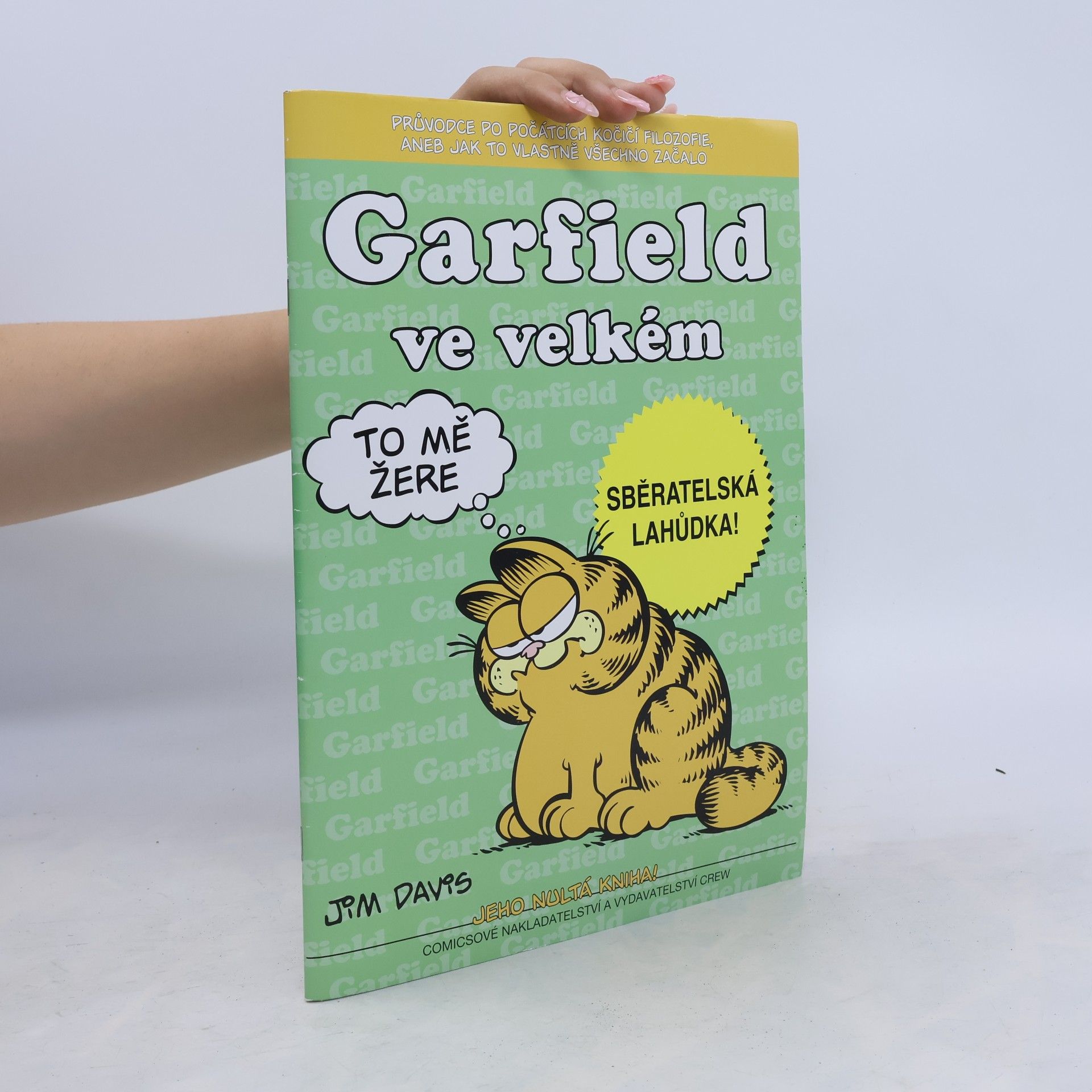 Jim Davis Garfield ve velkém