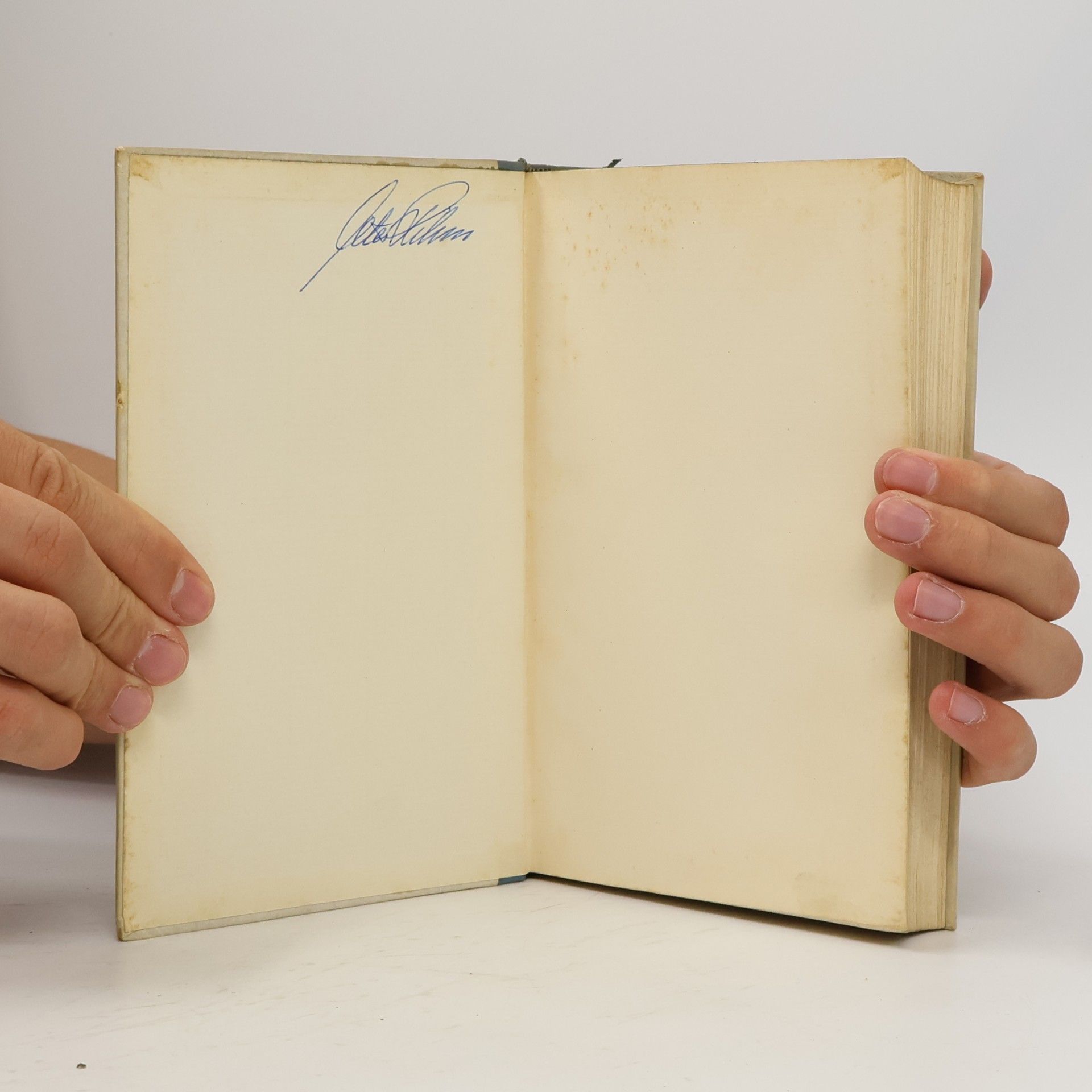 Axel Munthe Das Buch von San Michele