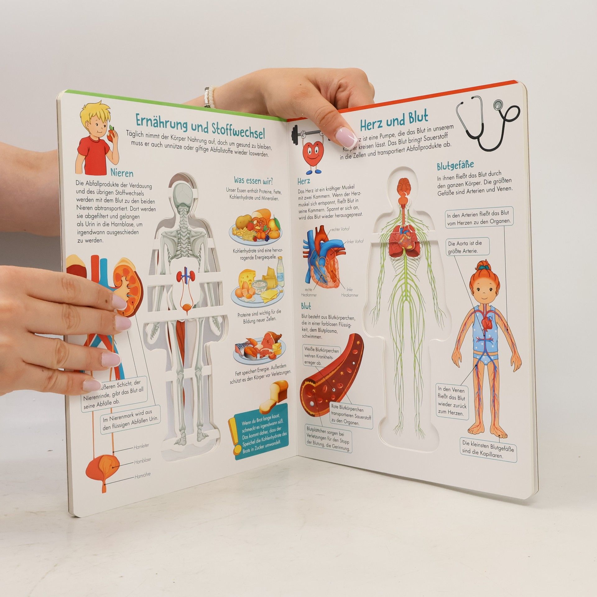 Trötsch Verlag Trötsch Kinderbuch Unser Körper