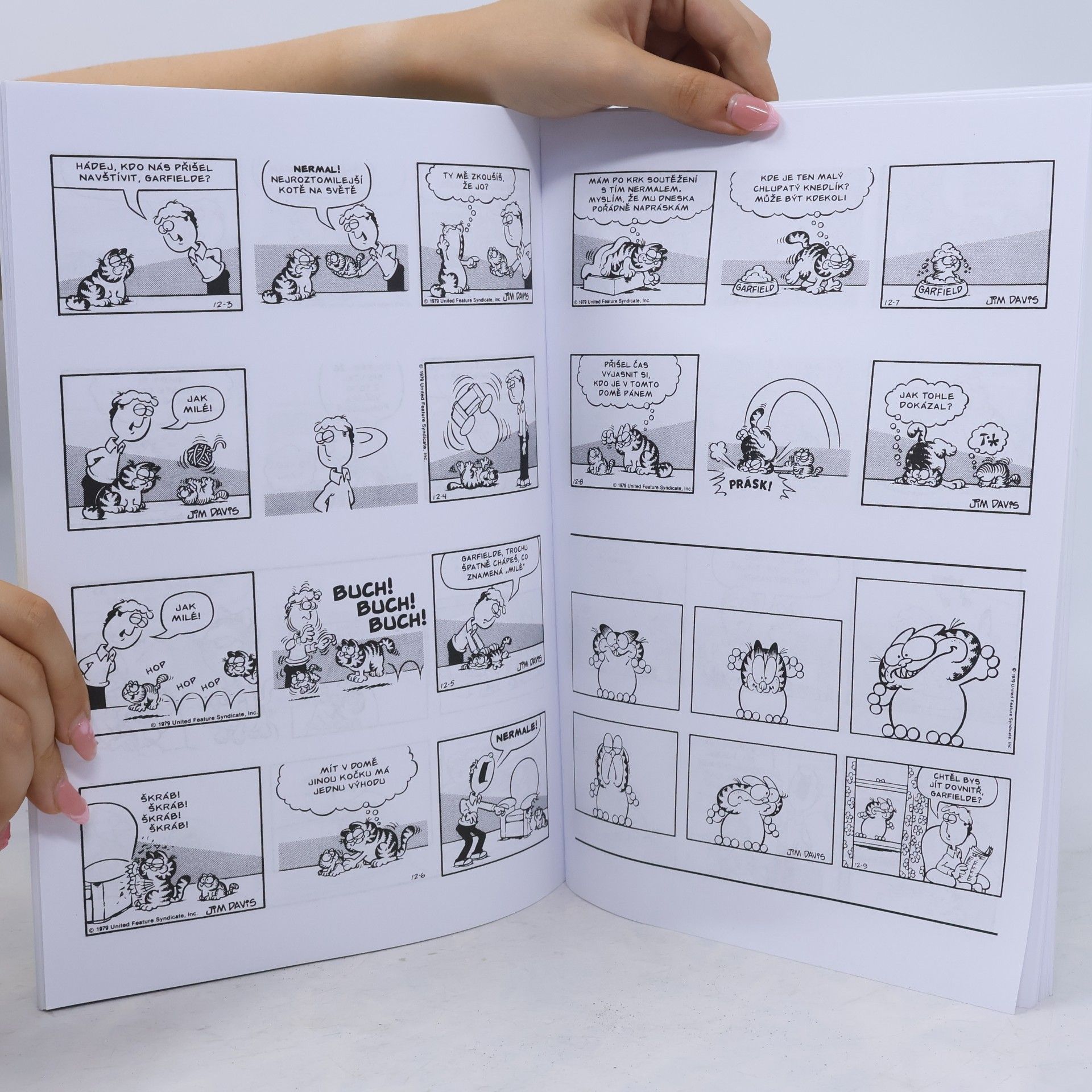 Jim Davis Garfield v nadživotní velikosti