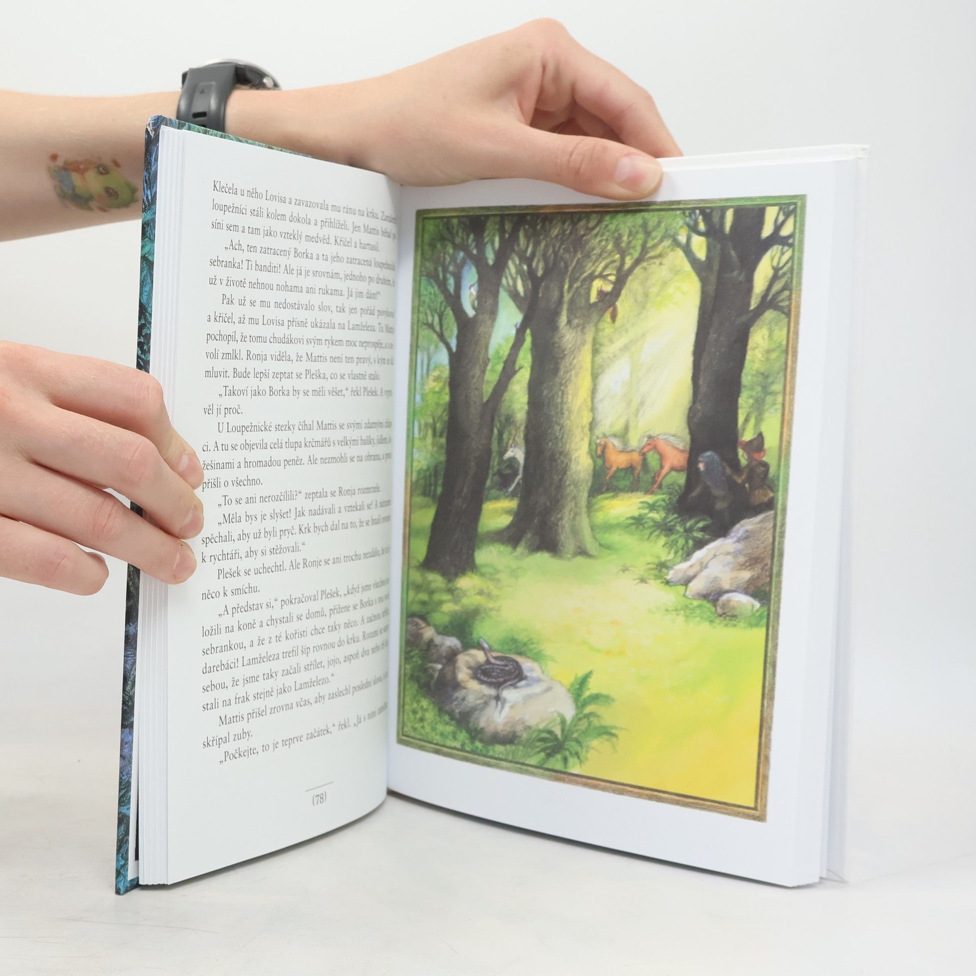 Astrid Lindgrenová Ronja, dcera loupežníka