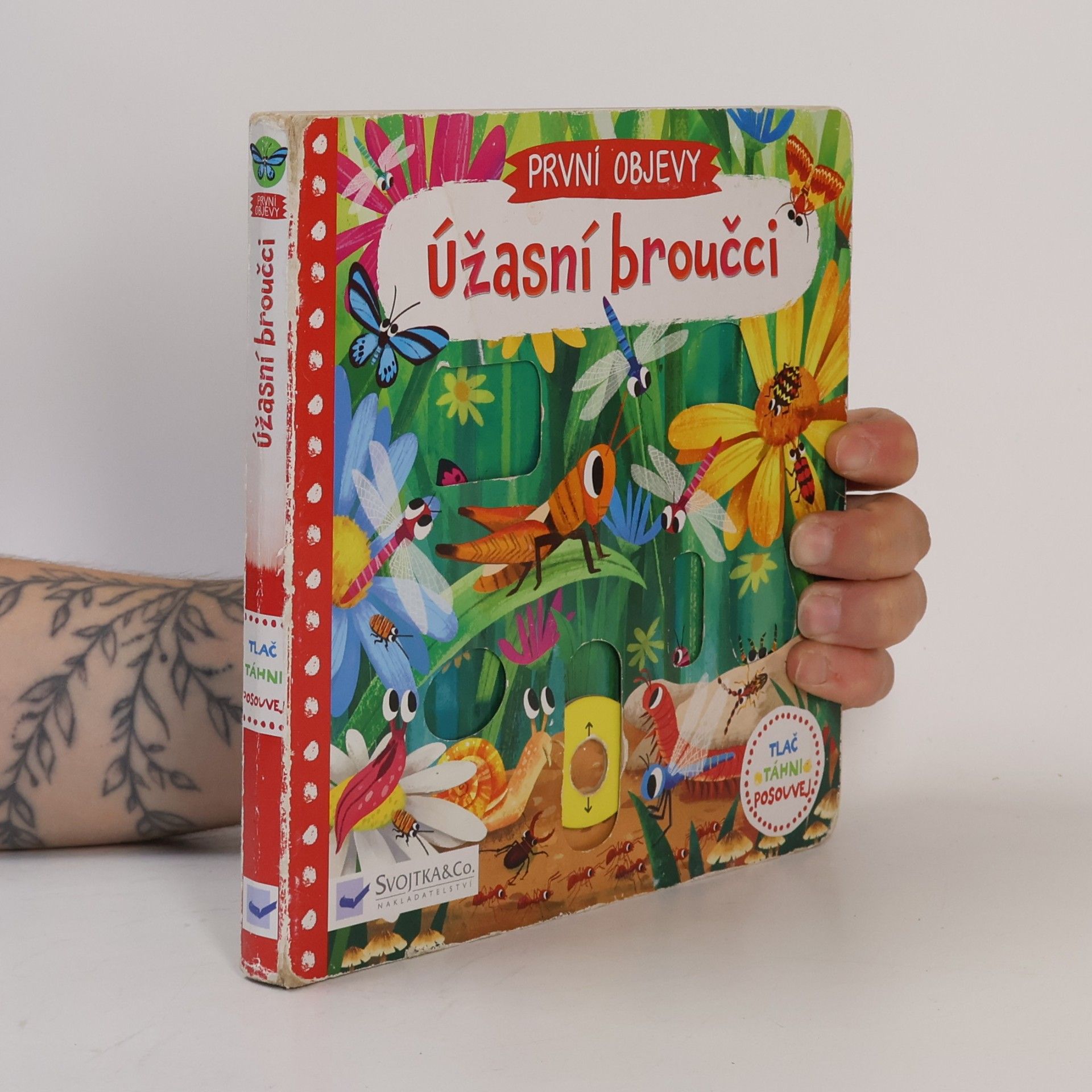 Jenny Wren První objevy: Úžasní broučci