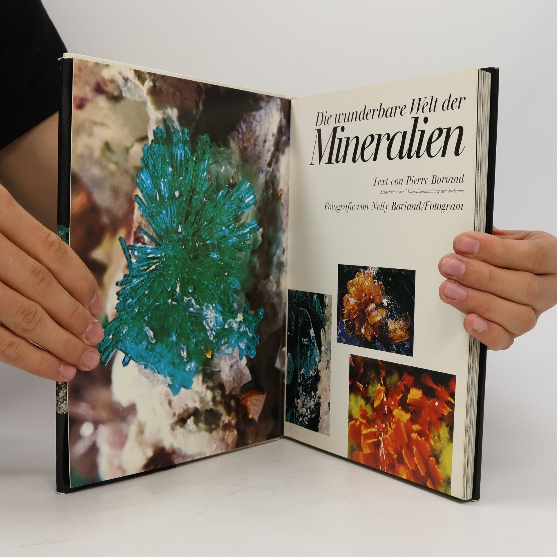 Various authors Die wunderbare Welt der Mineralien
