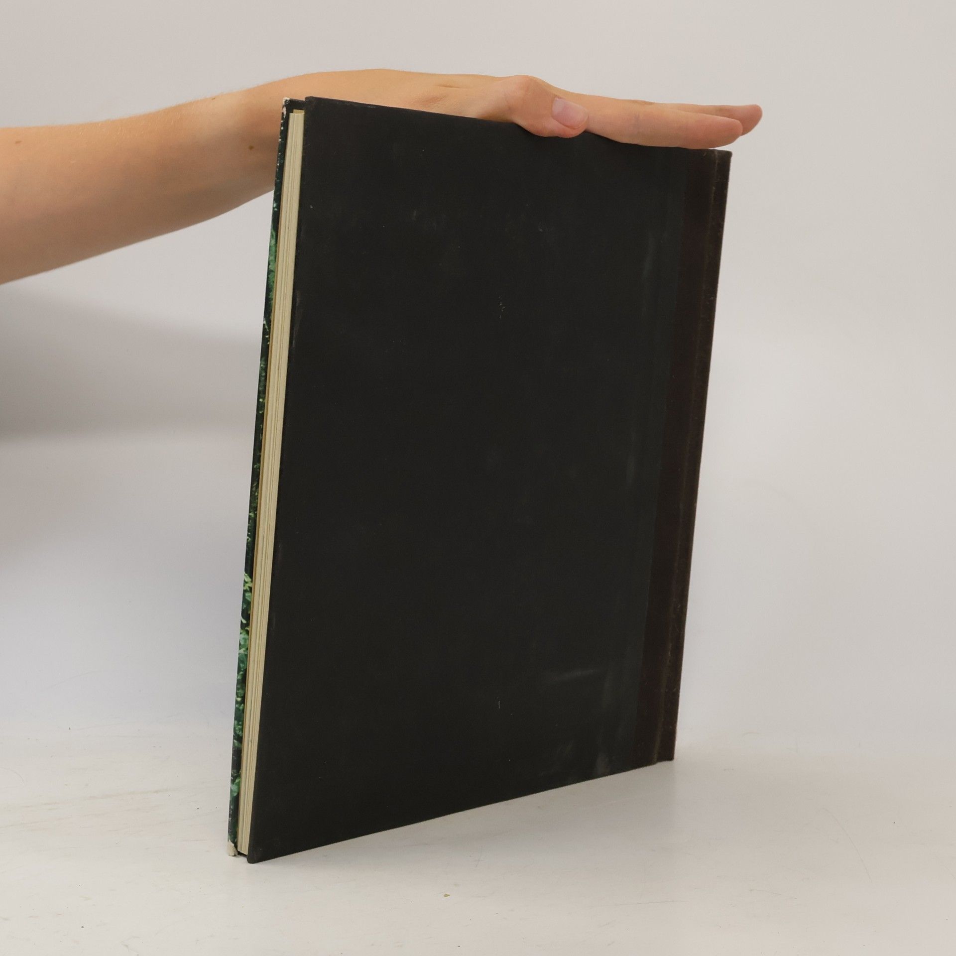 Various authors Die Frühzeit des Menschen. Der Weg zum Menschen