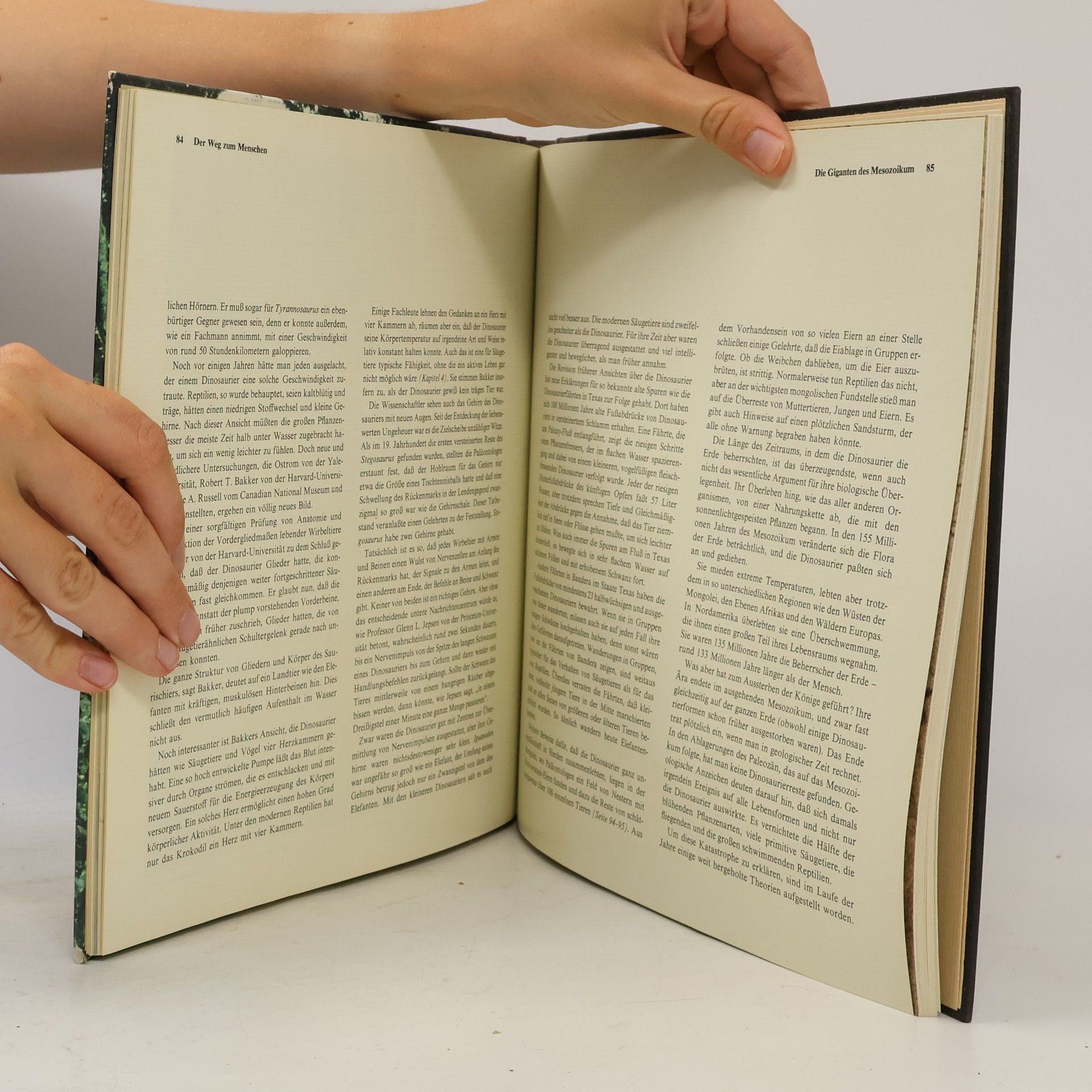 Various authors Die Frühzeit des Menschen. Der Weg zum Menschen