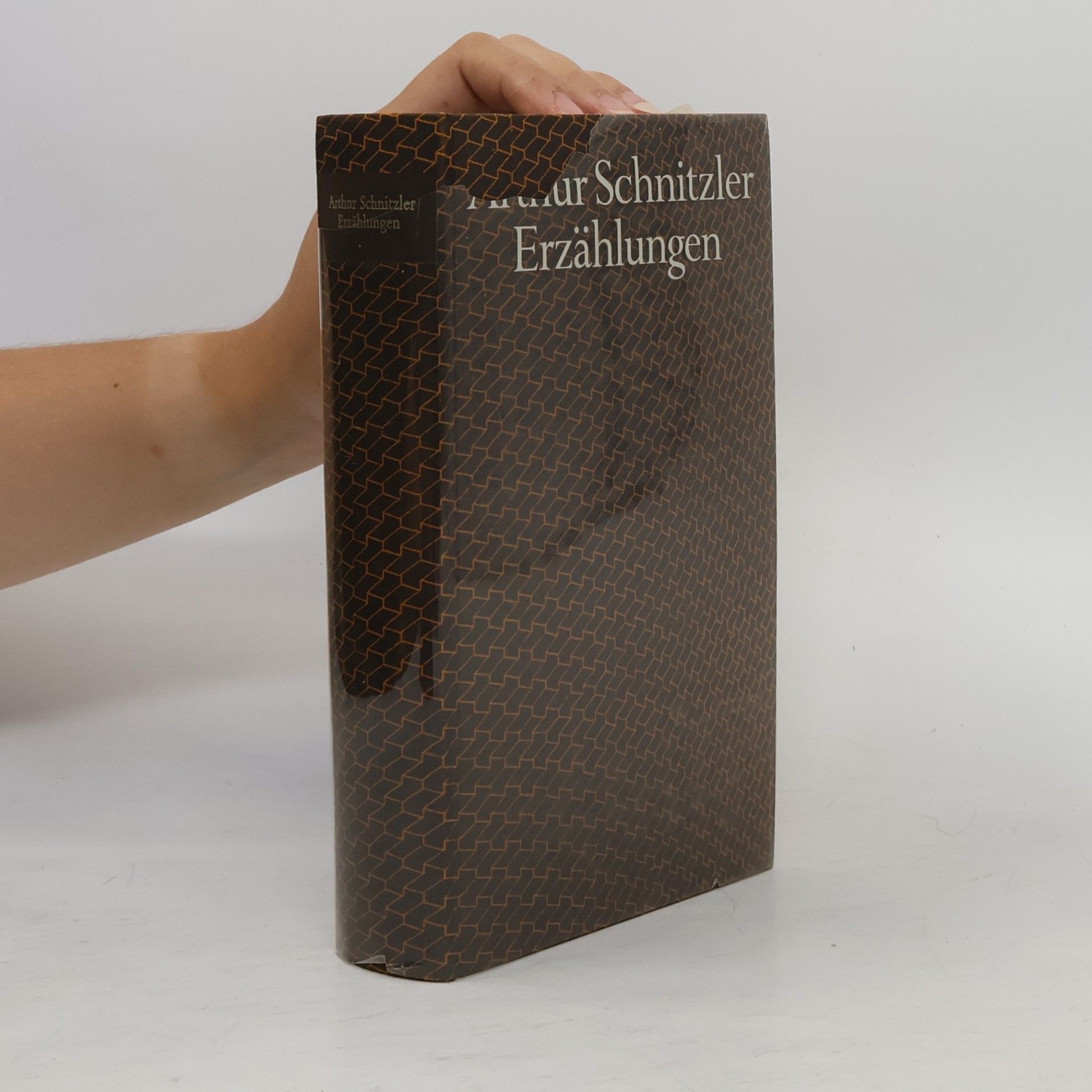 Arthur Schnitzler Erzählungen