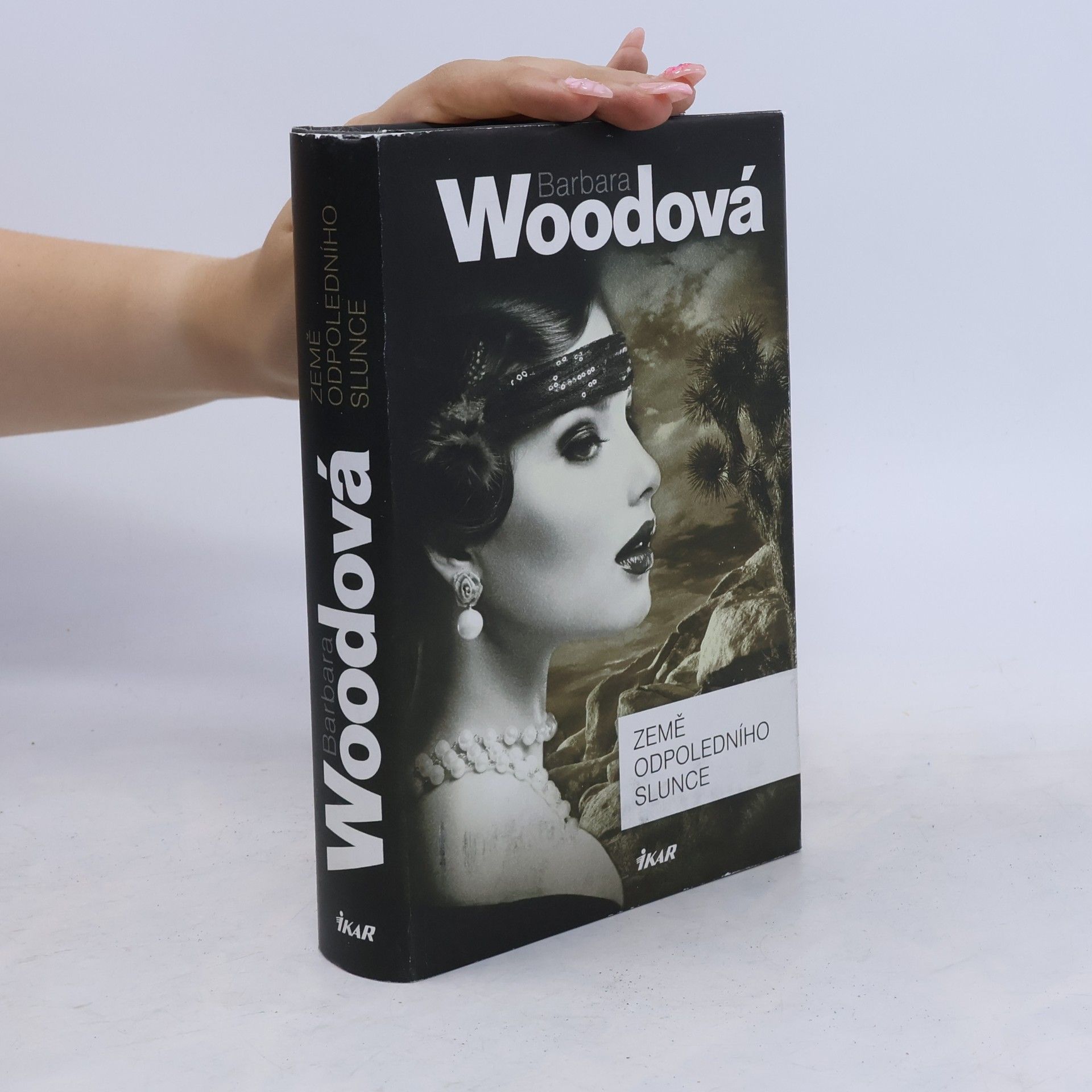Barbara Wood Země odpoledního slunce