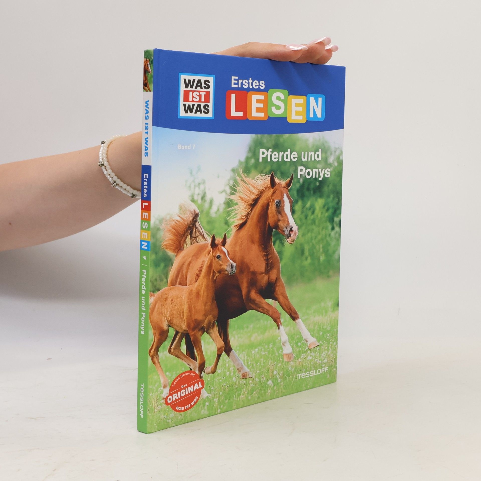 Christina Braun Pferde und Ponys
