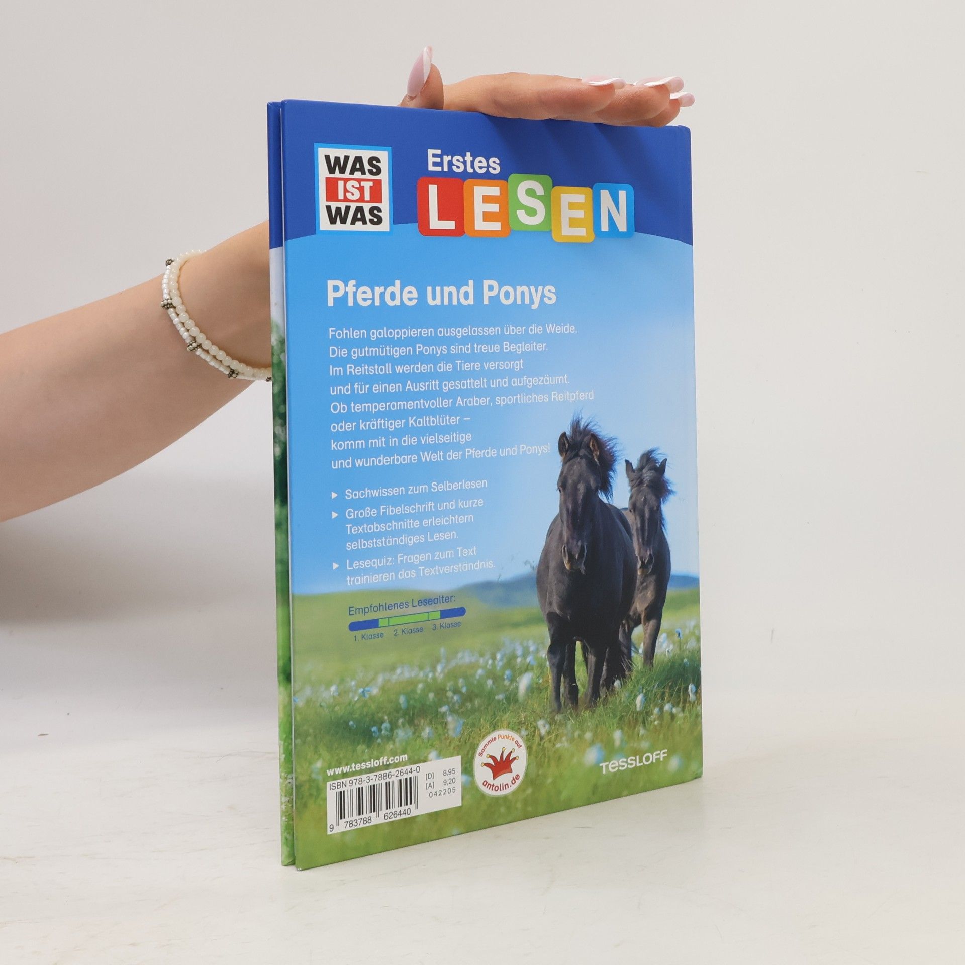 Christina Braun Pferde und Ponys