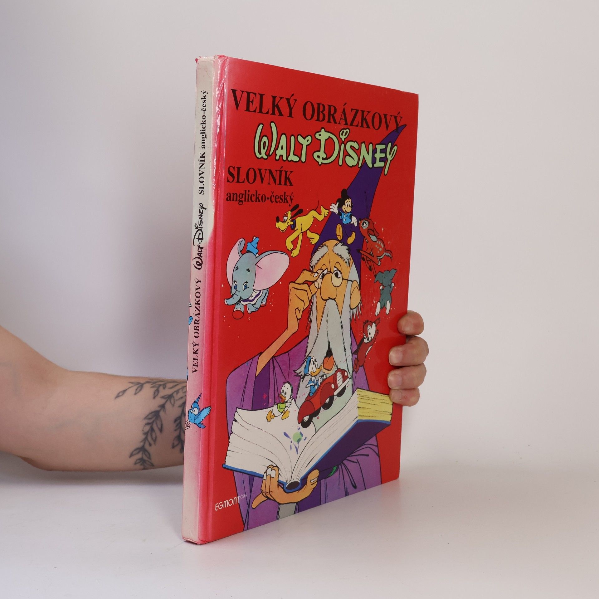 Walt Disney Velký obrázkový slovník anglicko-český