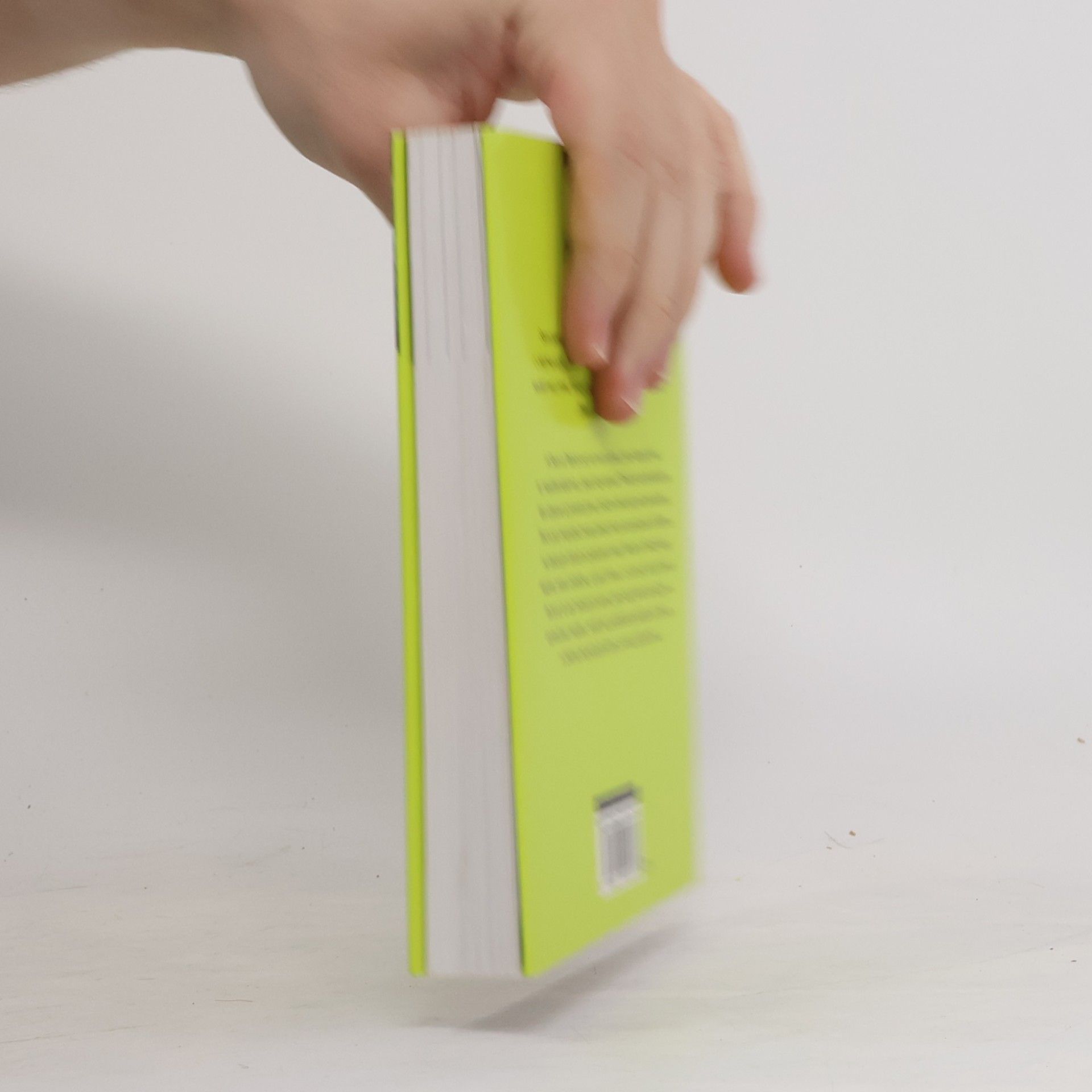 Stephen Chbosky Ten, kdo stojí v koutě