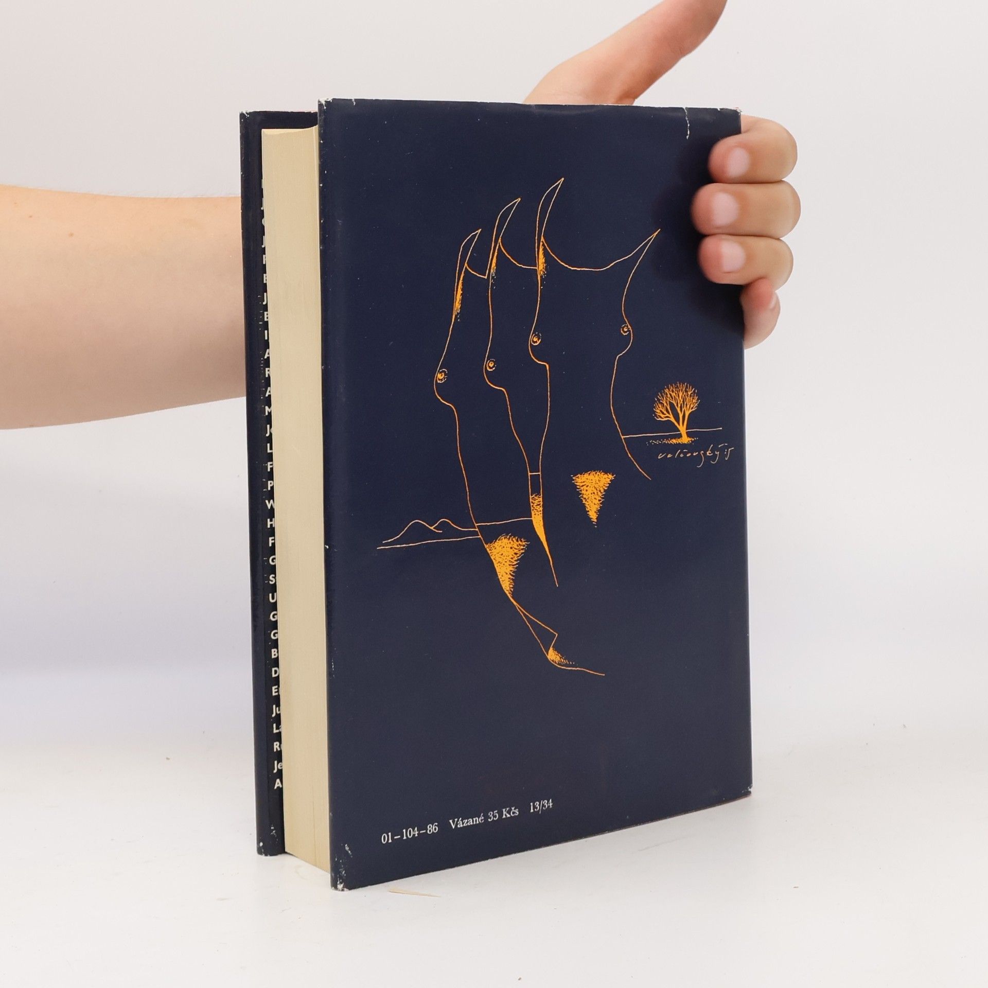 Kolektív autorov Almanach Světové literatury