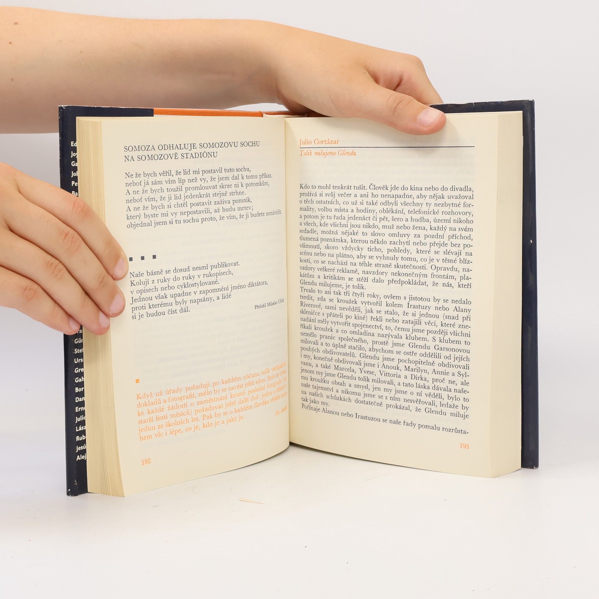 Kolektív autorov Almanach Světové literatury