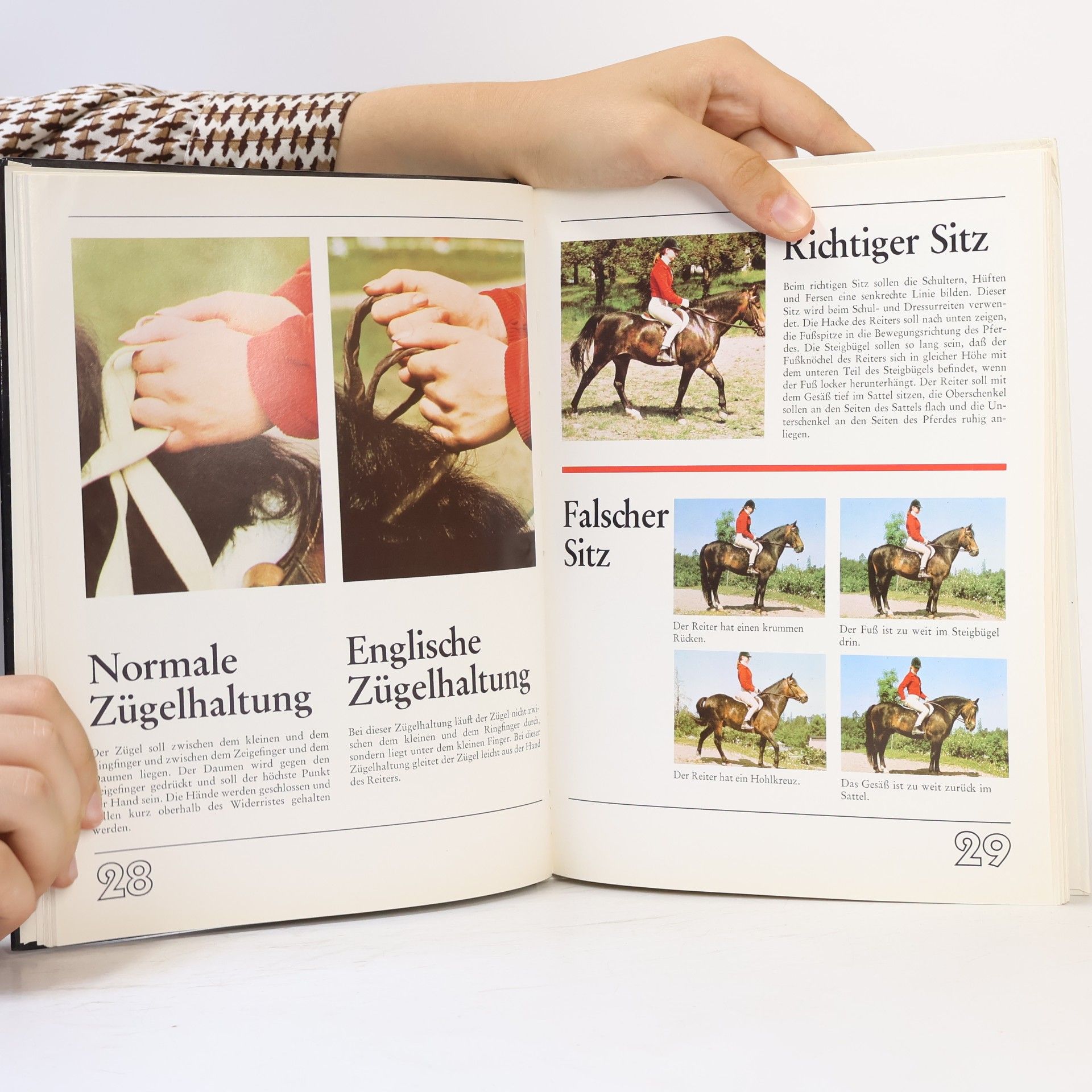 Stefan Uppström So lernst du reiten