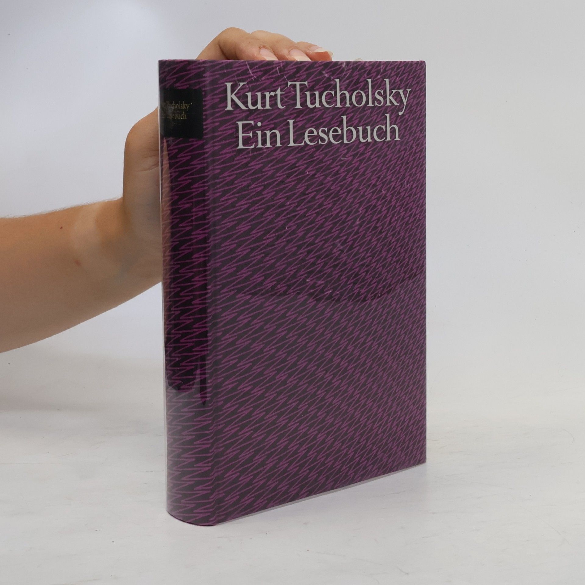 Kurt Tucholsky Ein Lesebuch