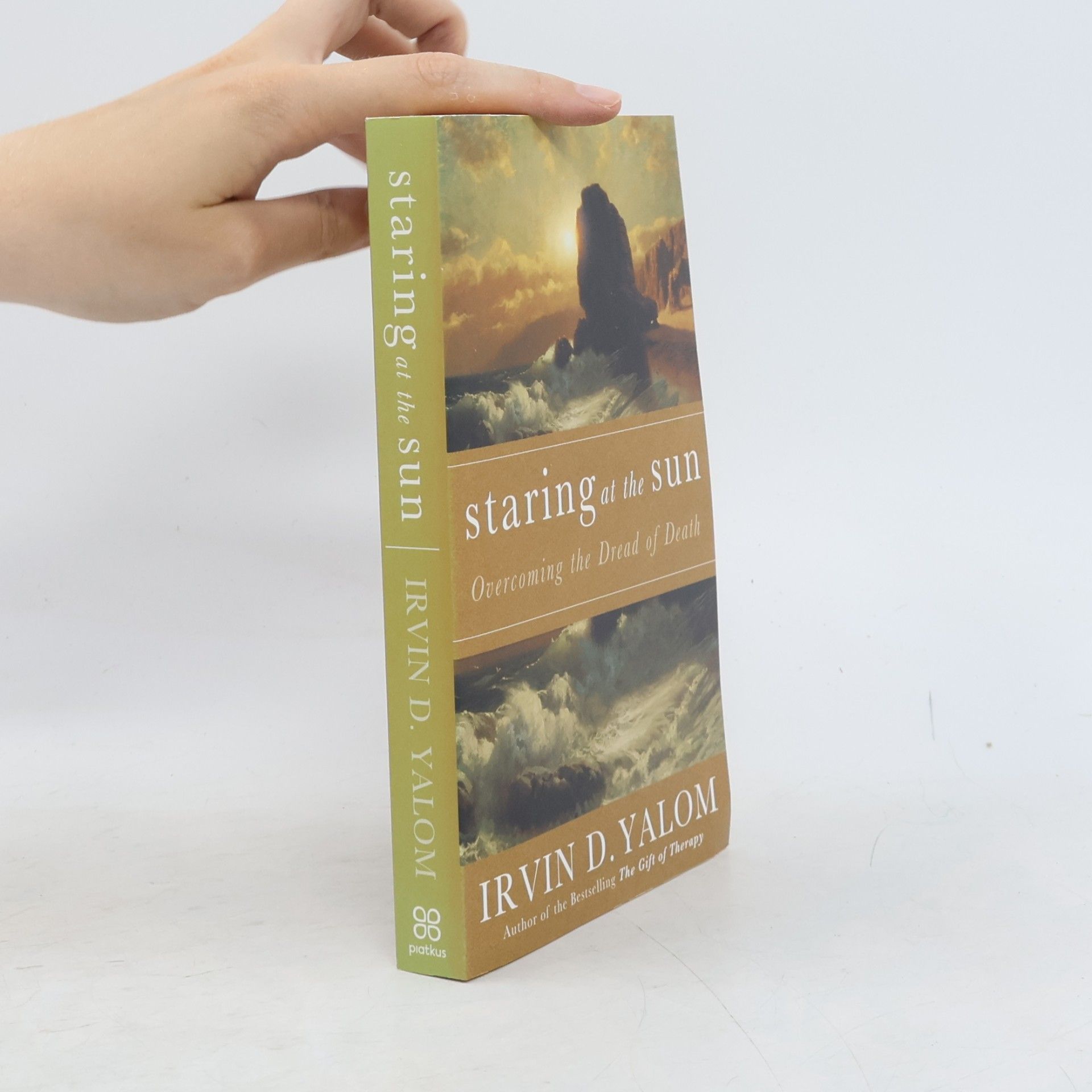 Irvin Yalom Staring At The Sun