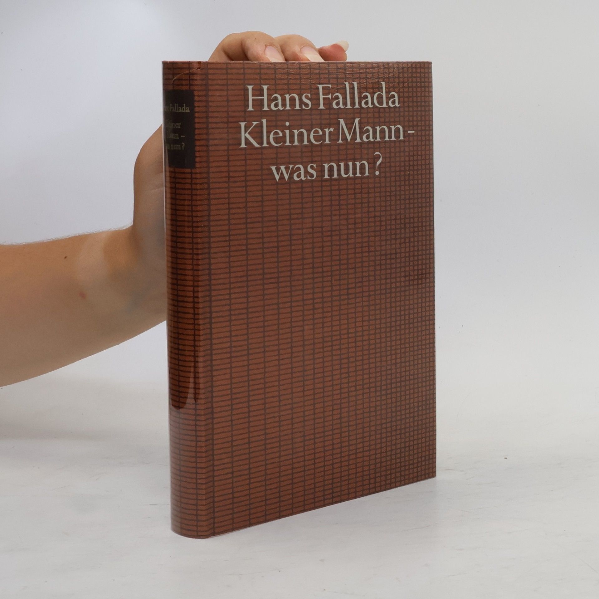 Hans Fallada Kleiner Mann - was nun?