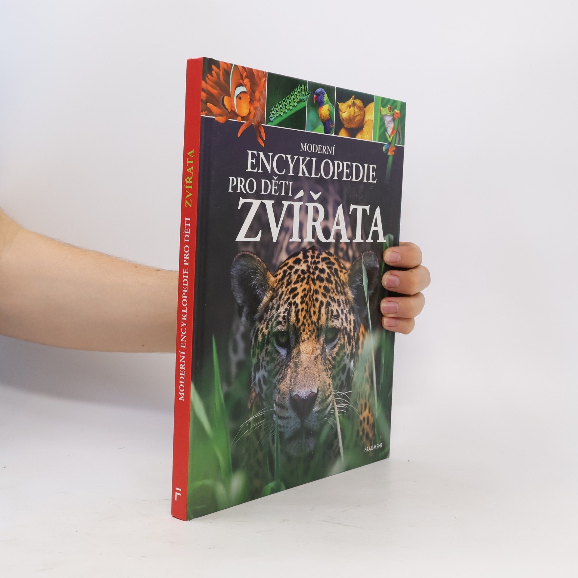 Michael Leach Moderní encyklopedie pro děti - Zvířata