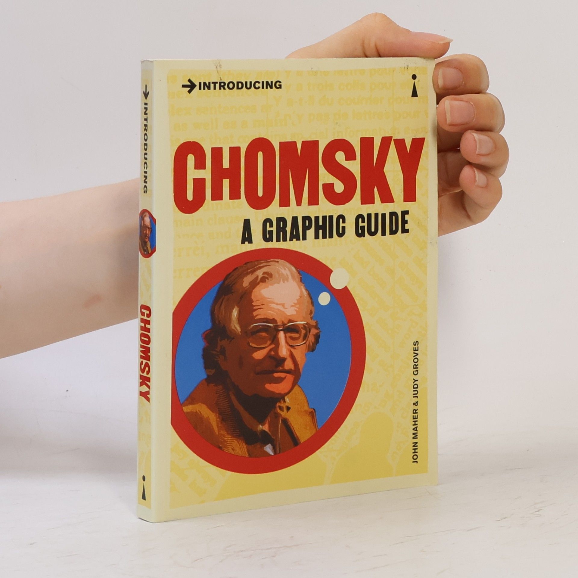 Auteurscollectief Chomsky: a Graphic Guide