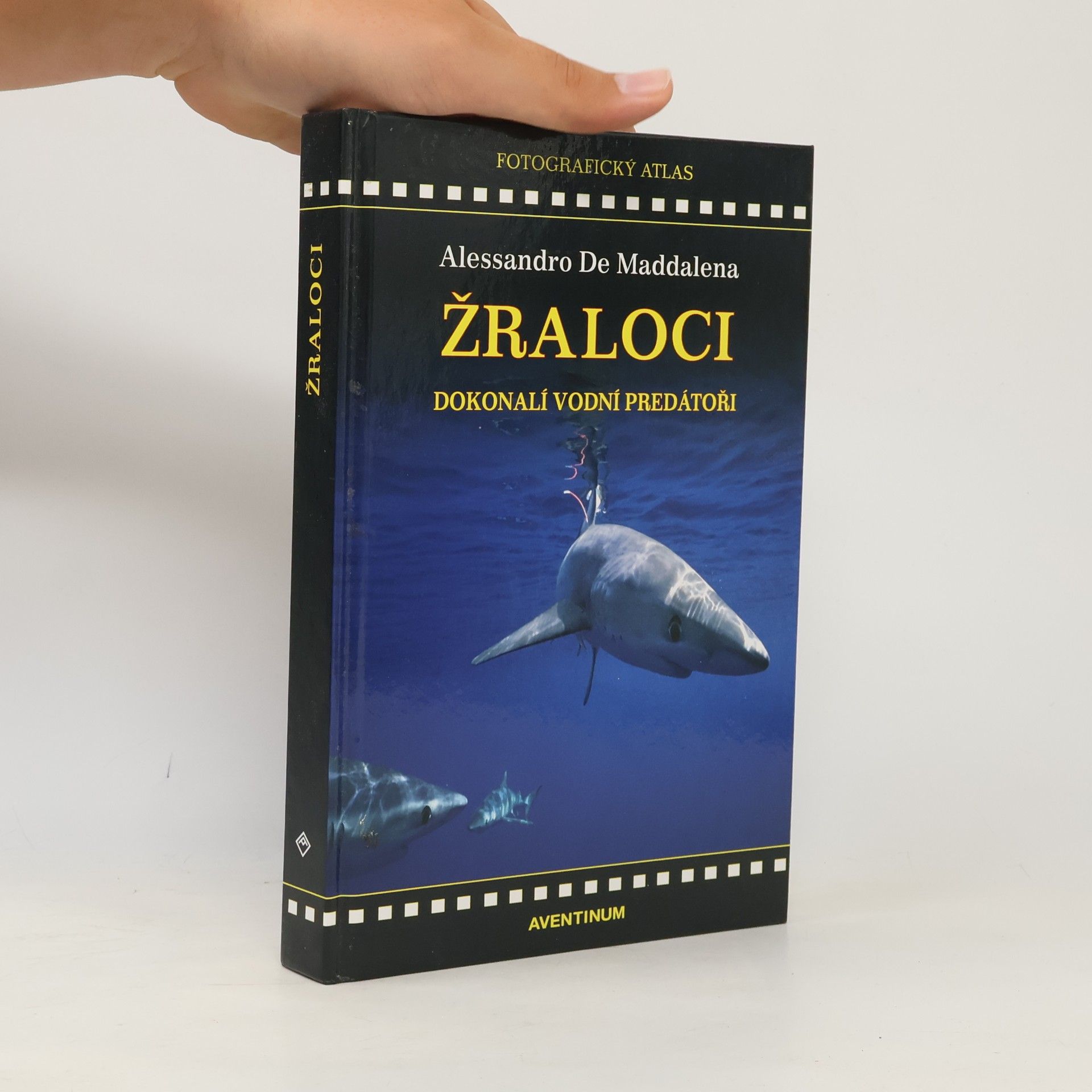 Žraloci: Dokonalí vodní predátoři