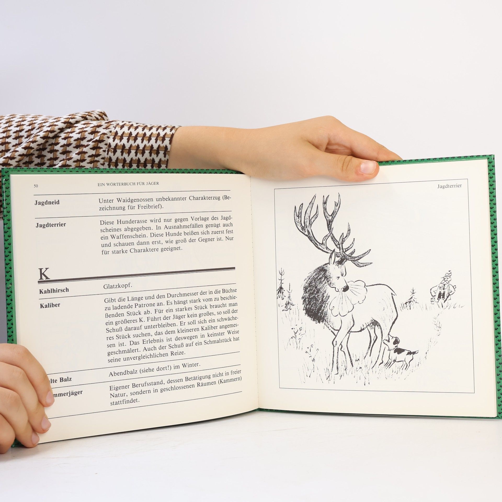 Alfred Stampfl Jagen. Ein Wörterbuch für Jagdfreunde, Sonntagsjäger, Waldläufer und Trapper