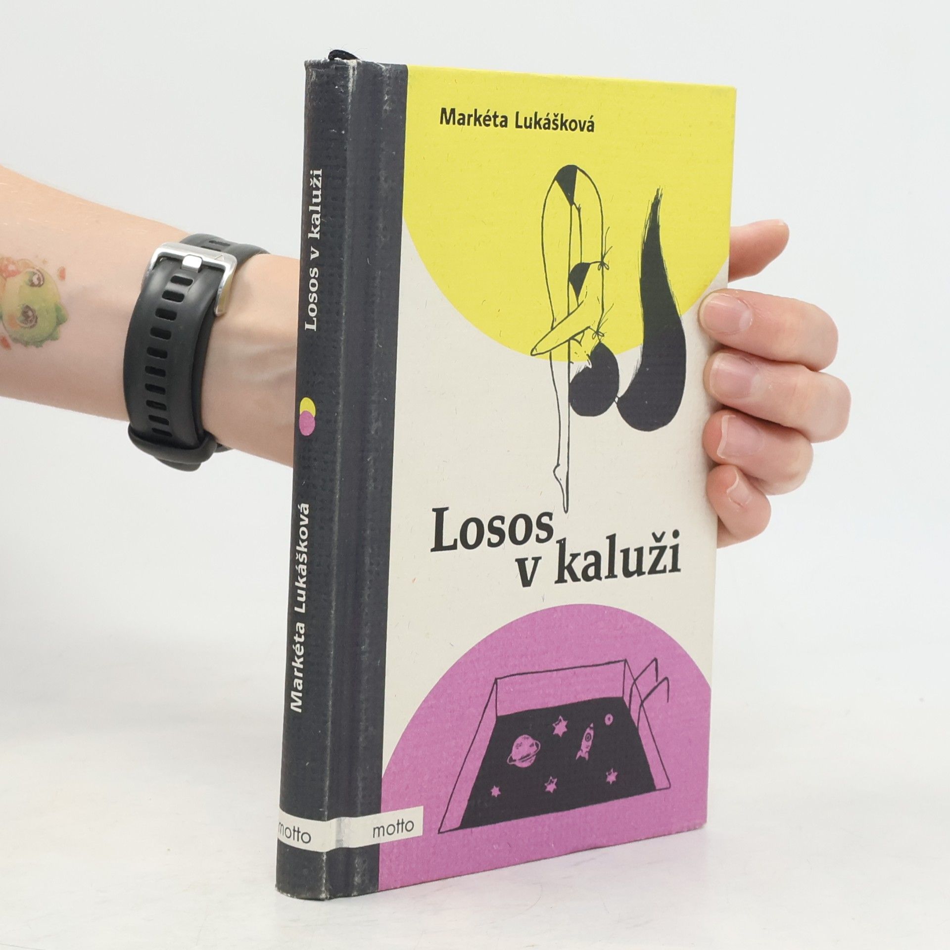 Markéta Lukášková Losos v kaluži