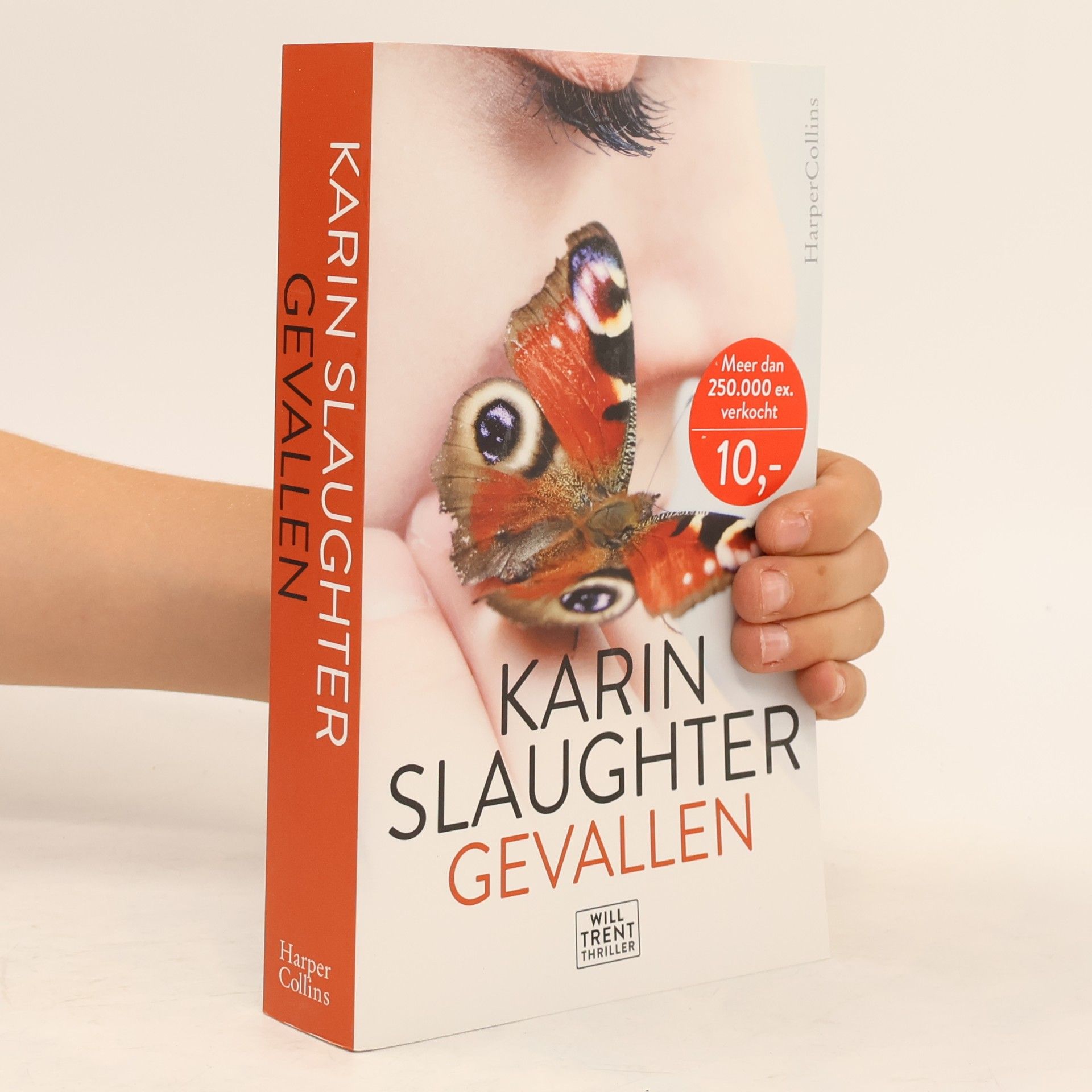 Karin Slaughter Gevallen