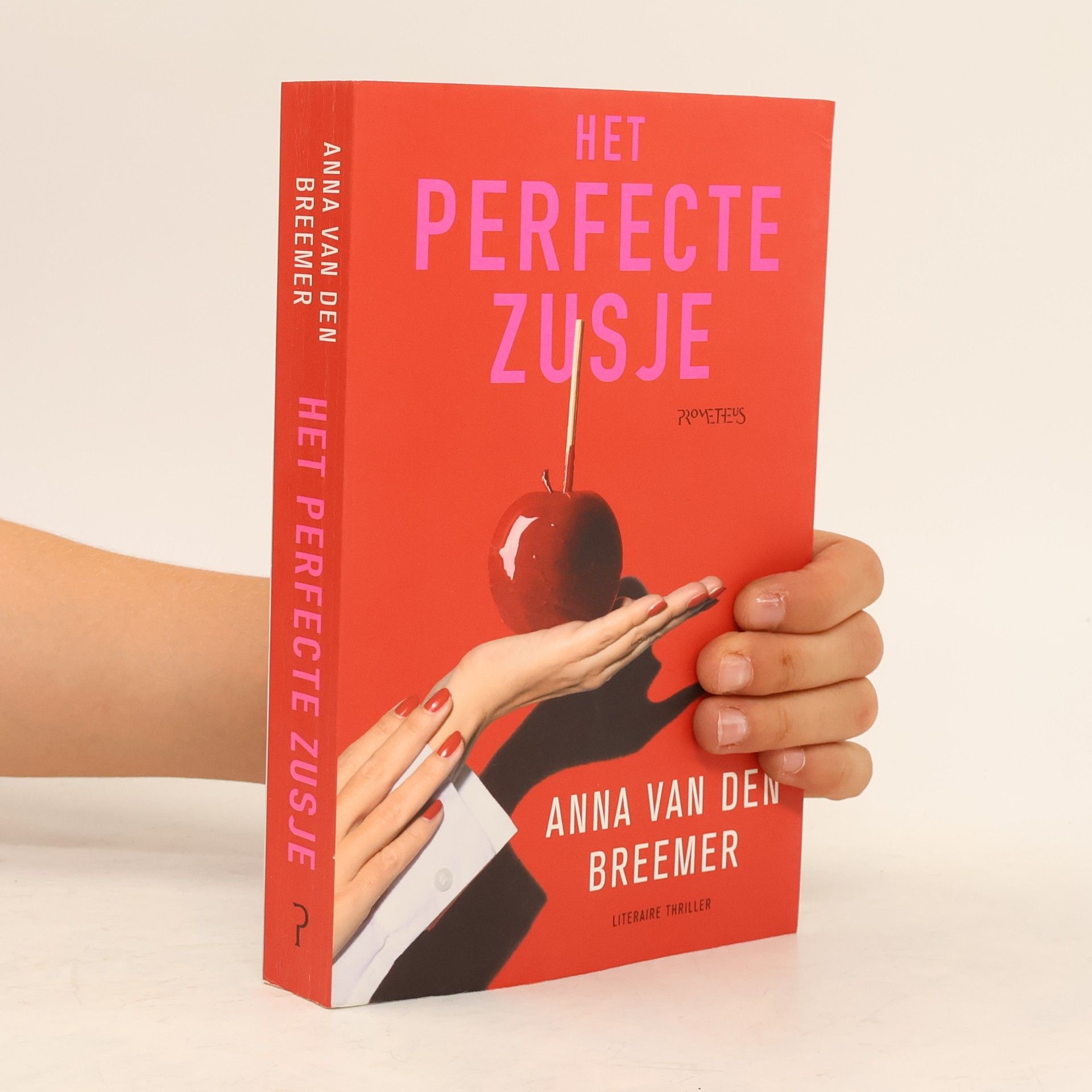 Anna van den Breemer Het perfecte zusje