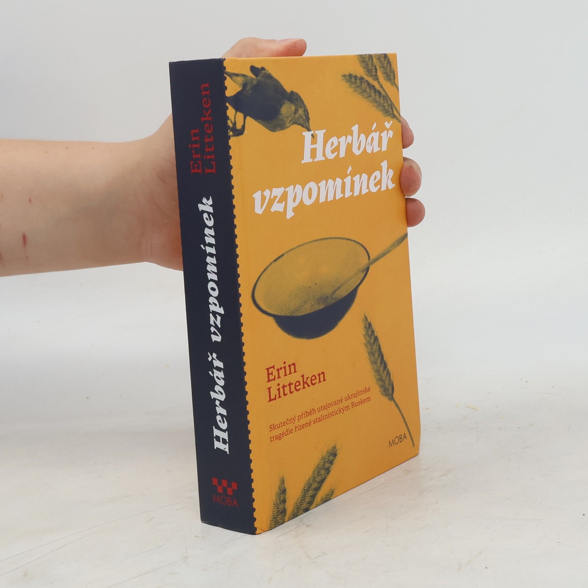 Erin Litteken Herbář vzpomínek