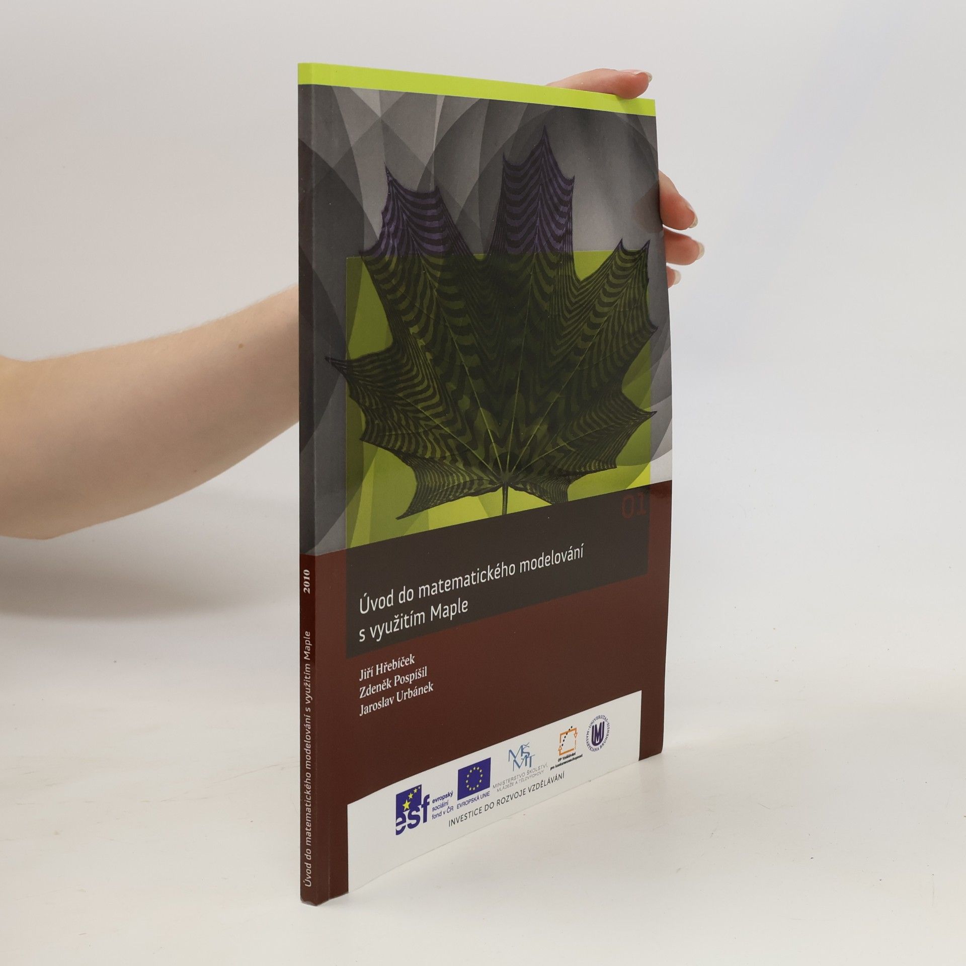 Úvod do matematického modelování s využitím Maple