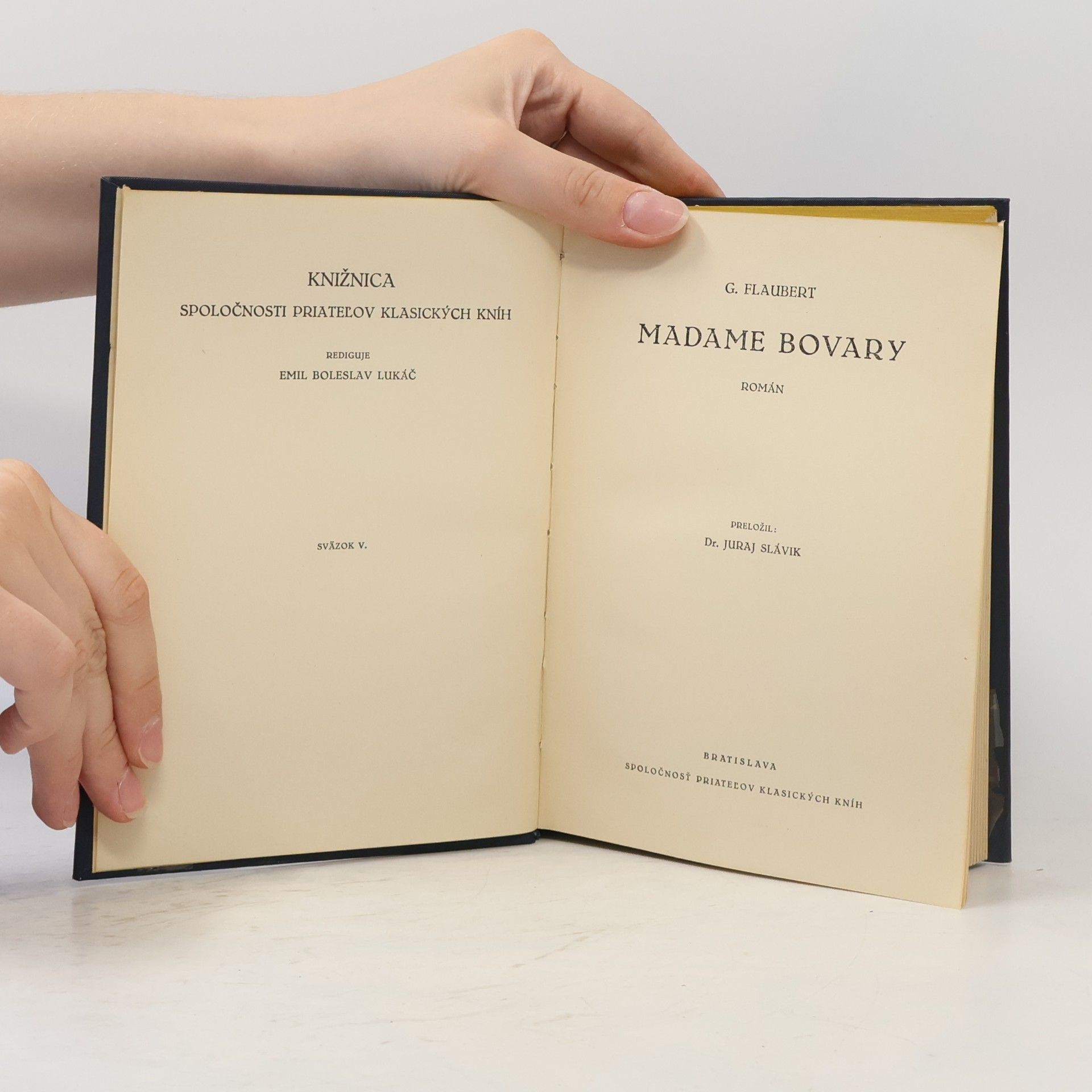 Gustave Flaubert Madame Bovary