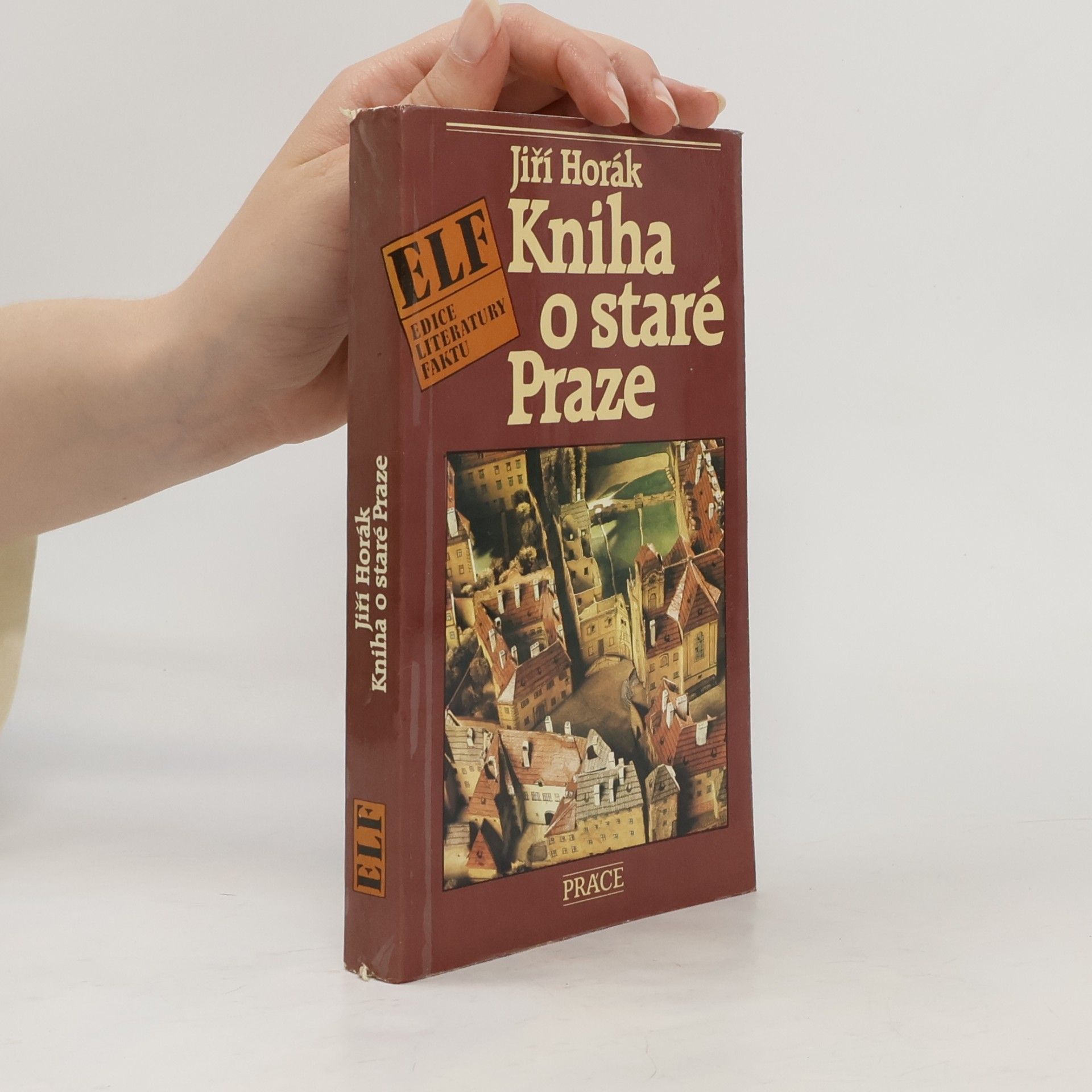 Kniha o staré Praze