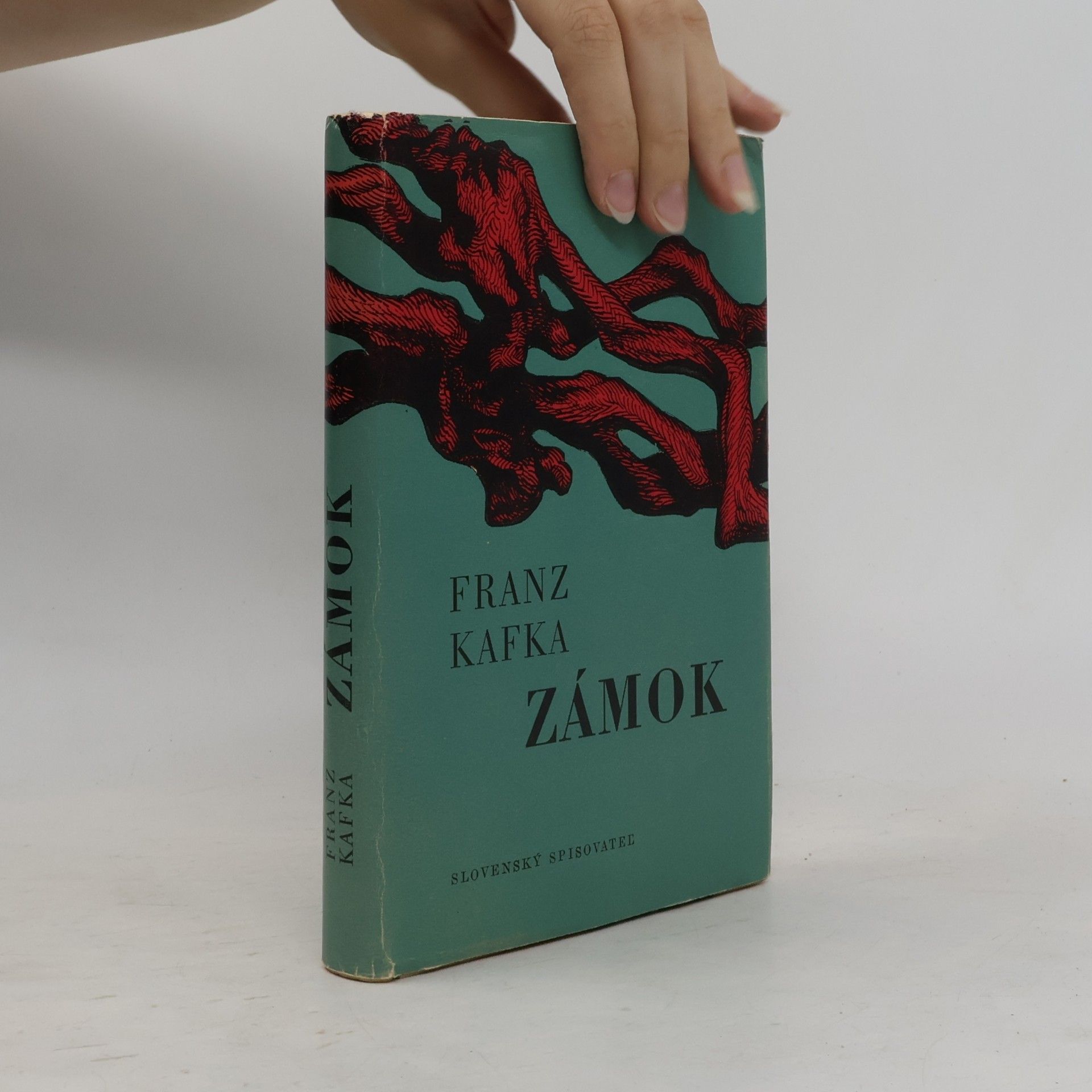 Franz Kafka Zámok