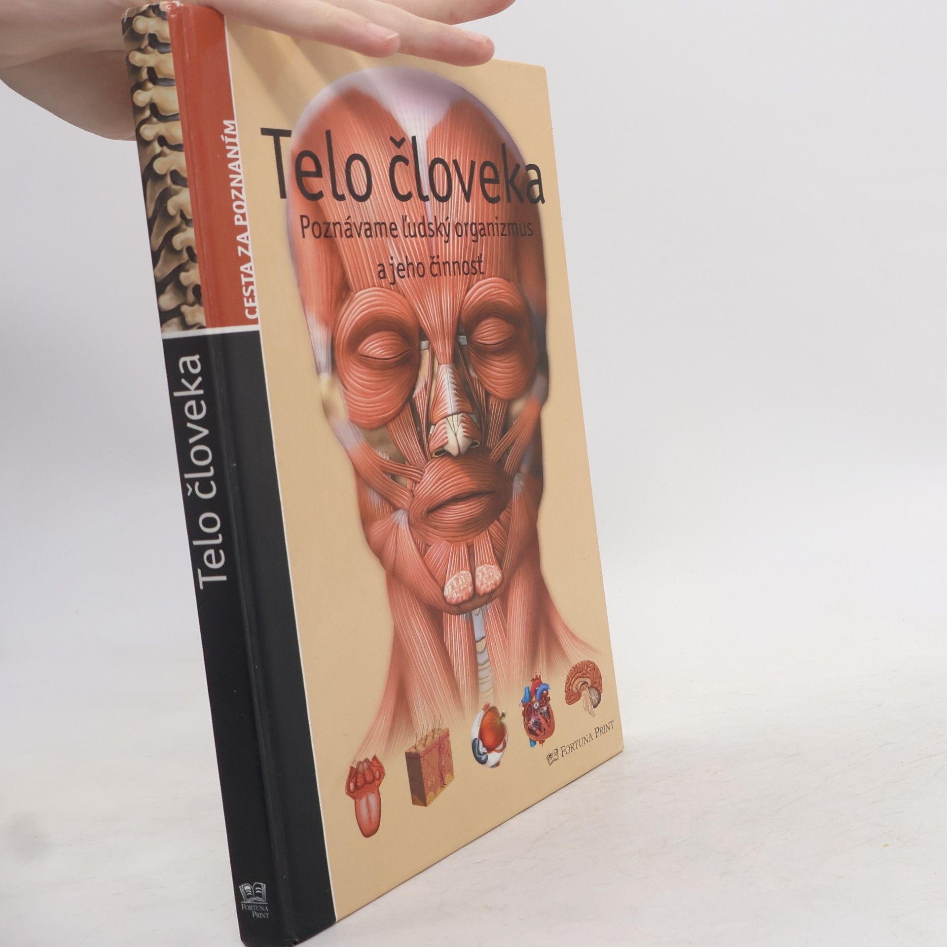 AA.VV. Telo človeka