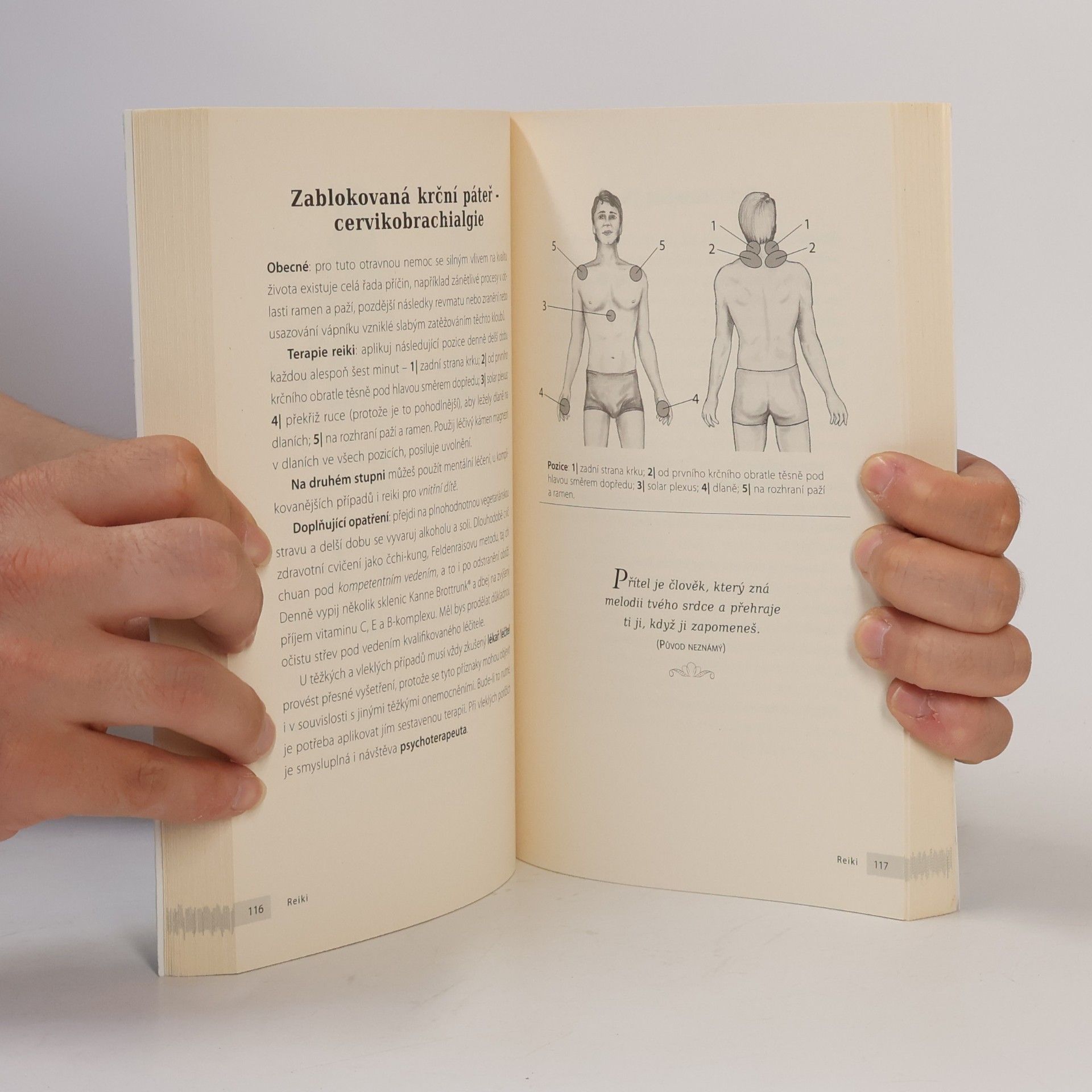 Walter Lübeck Reiki. Domácí lékárna