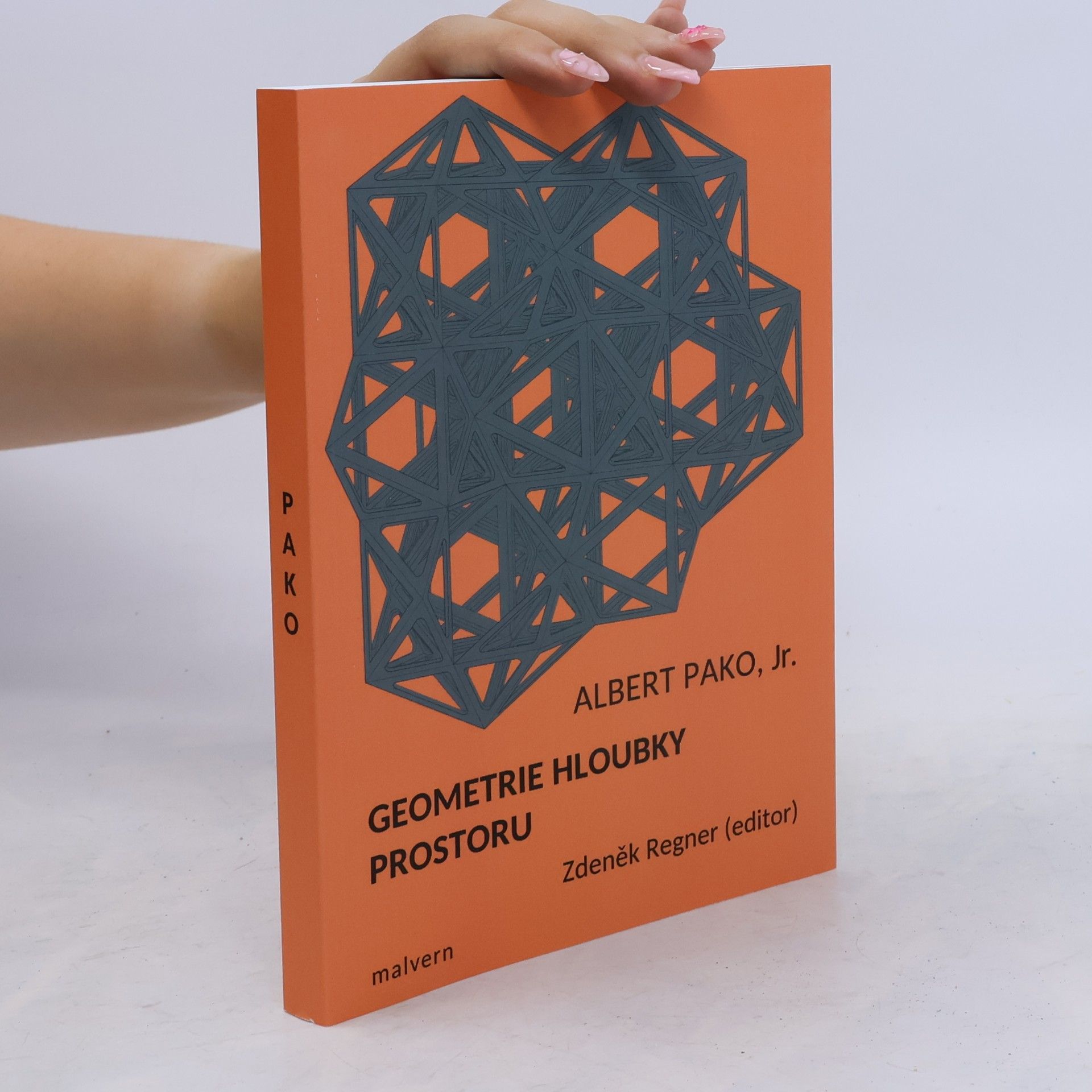 Albert Pako Geometrie hloubky prostoru