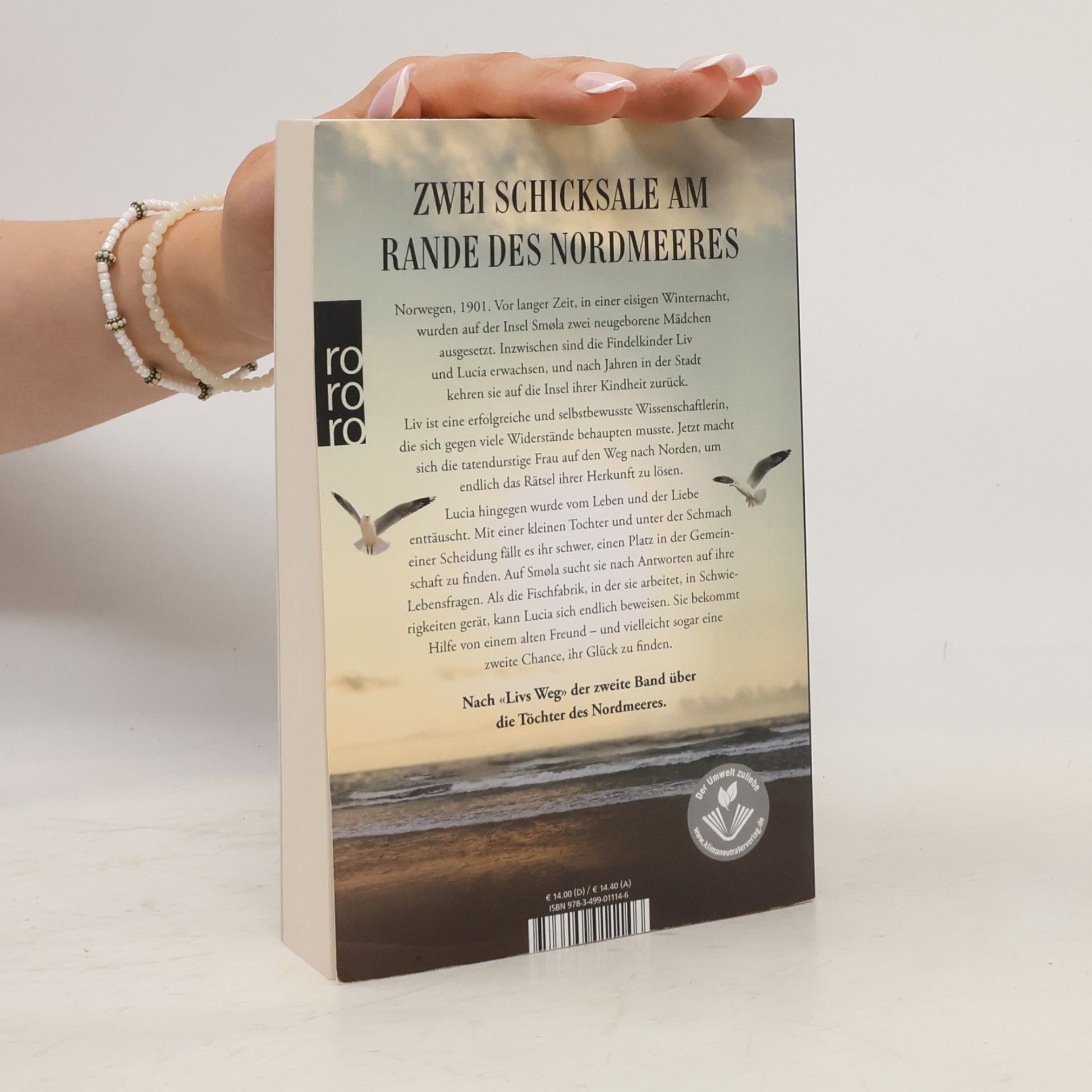 Ines Thorn Töchter des Nordmeeres - Lucias Entscheidung