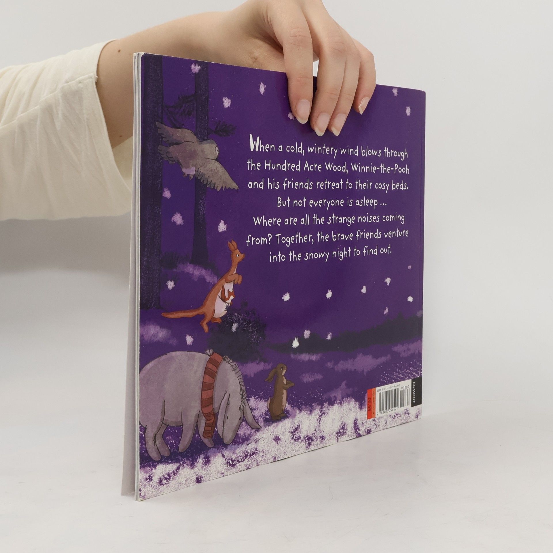Eleanor Taylor Winnie-the-Pooh: The Long Winter's Sleep