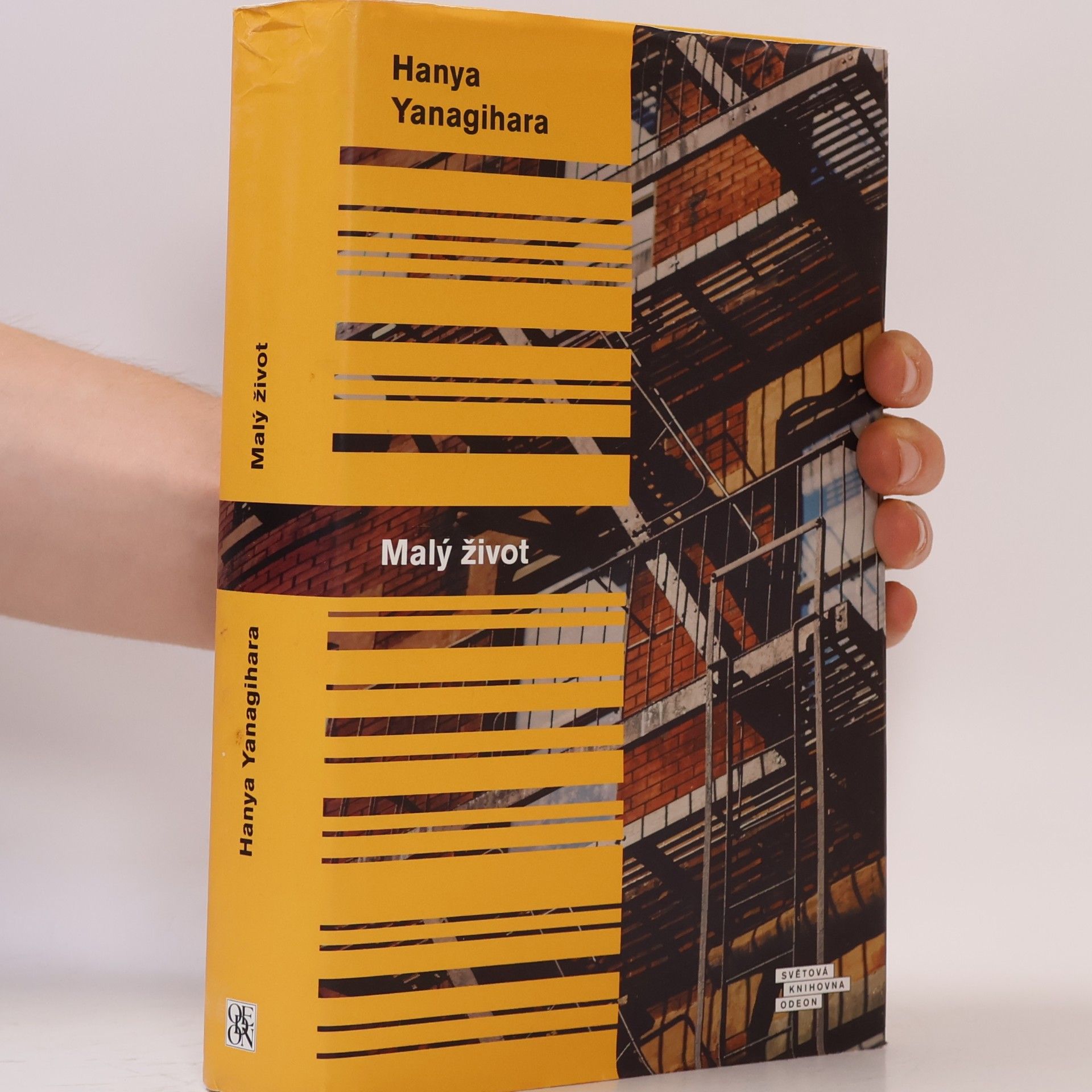 Hanya Yanagihara Malý život