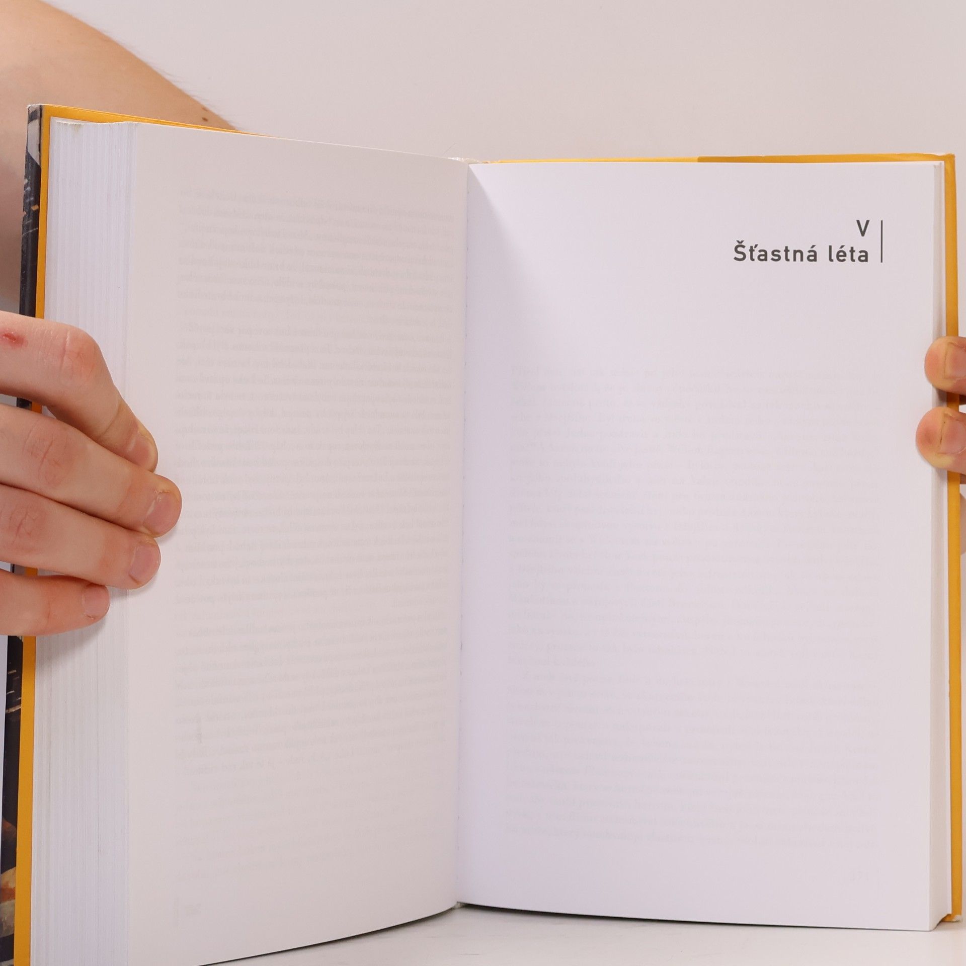 Hanya Yanagihara Malý život
