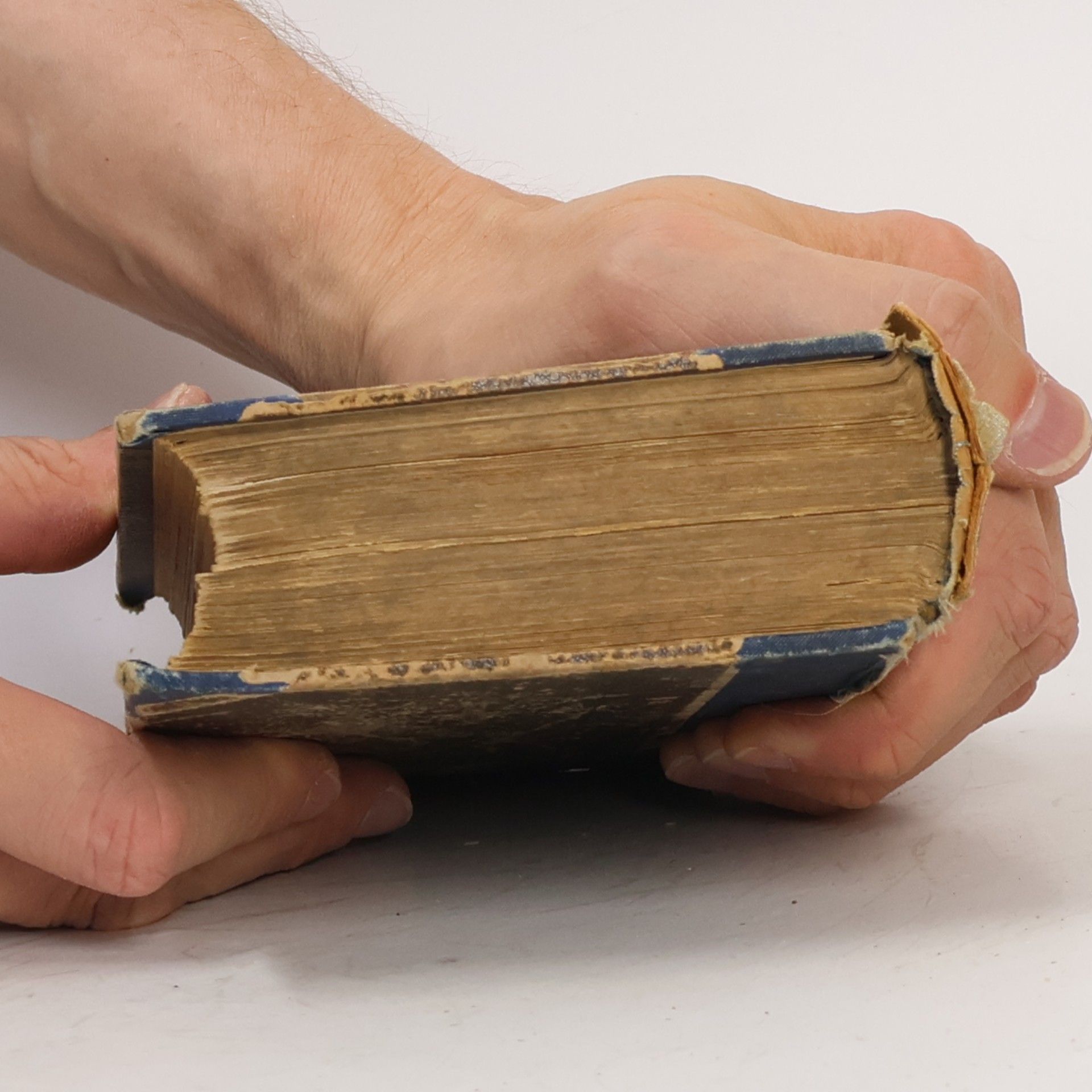Julius Zeyer Novelly I.