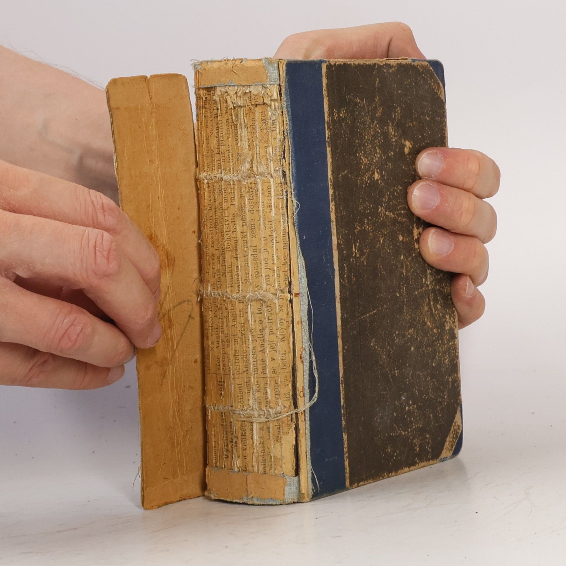 Julius Zeyer Novelly I.
