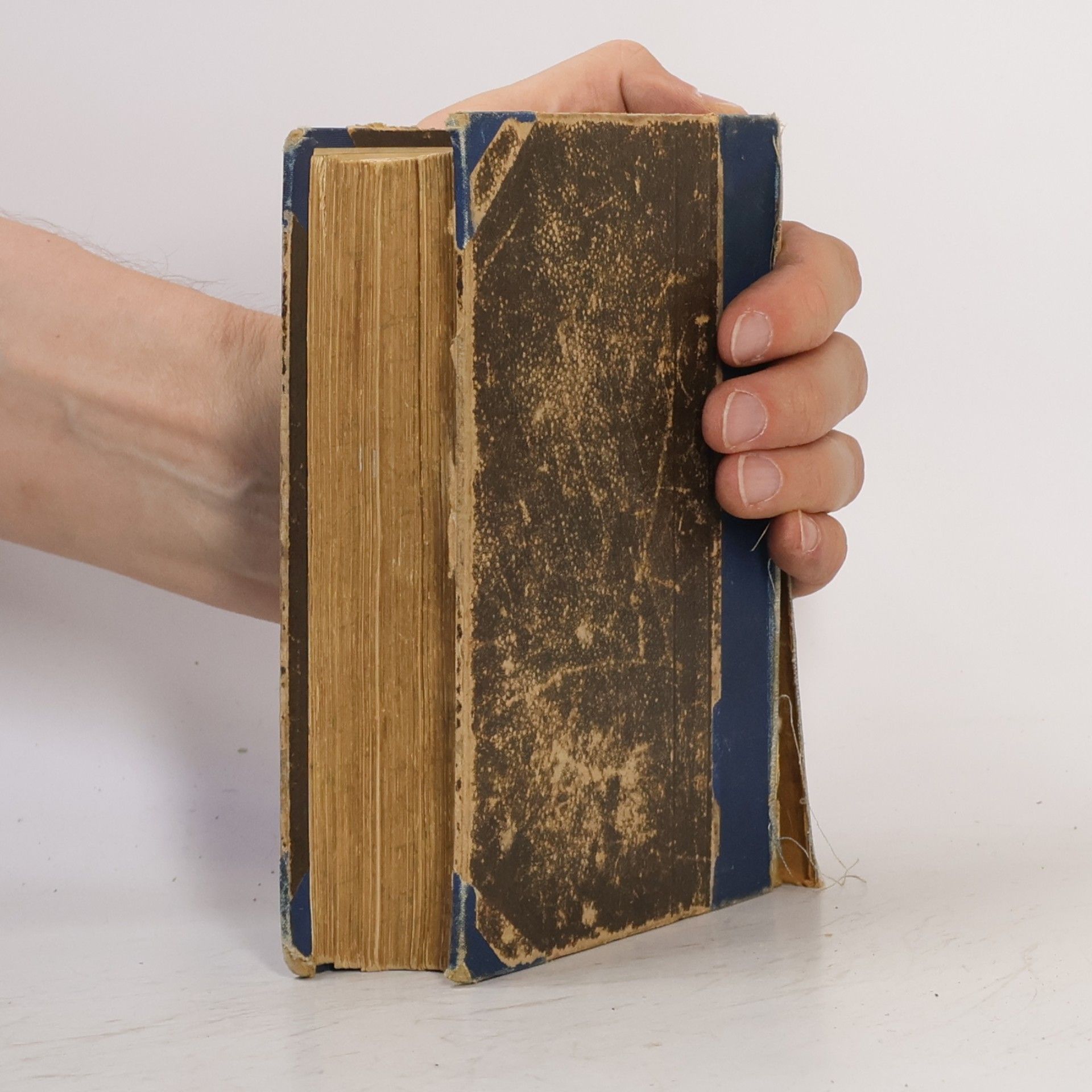 Julius Zeyer Novelly I.