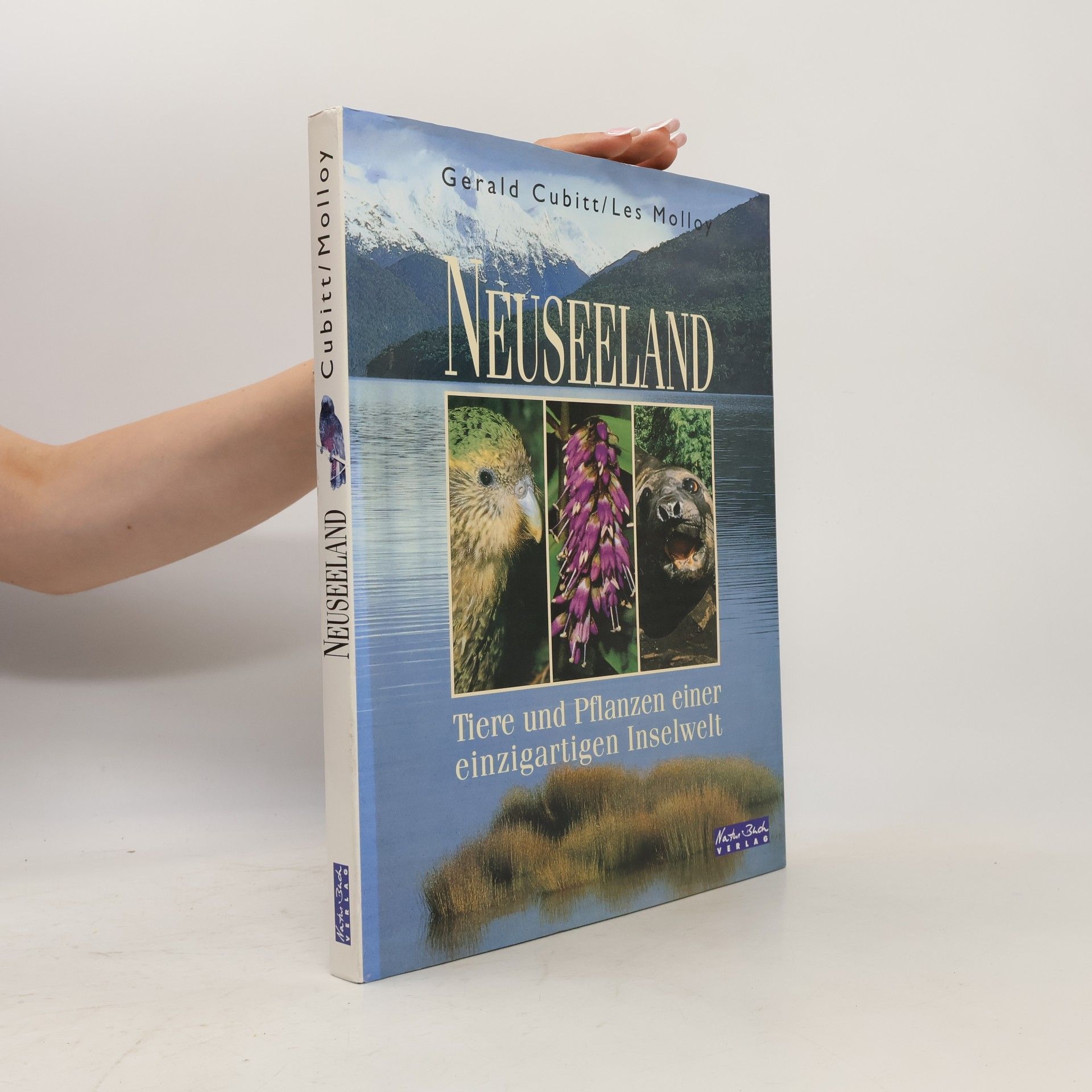 Neuseeland