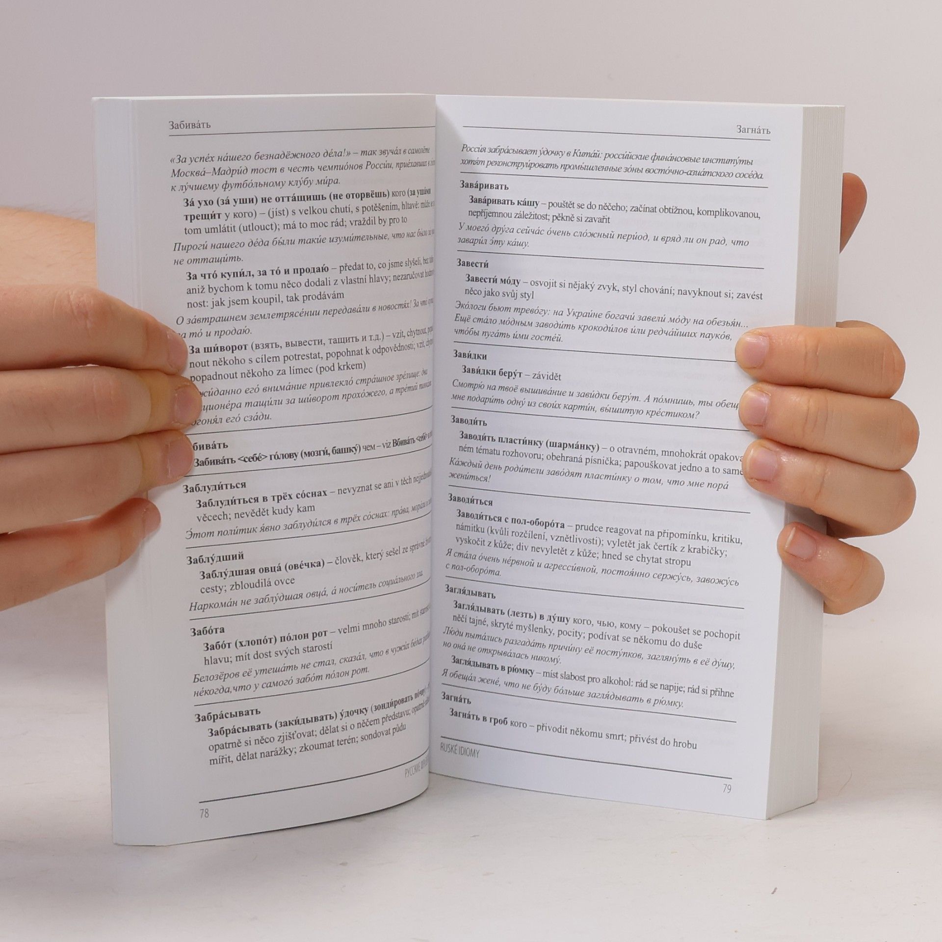 Alena Podlesnych Ruské idiomy