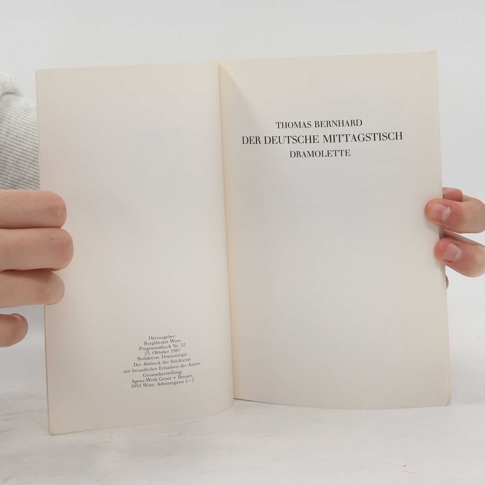 Thomas Bernhard Der Deutsche Mittagstisch