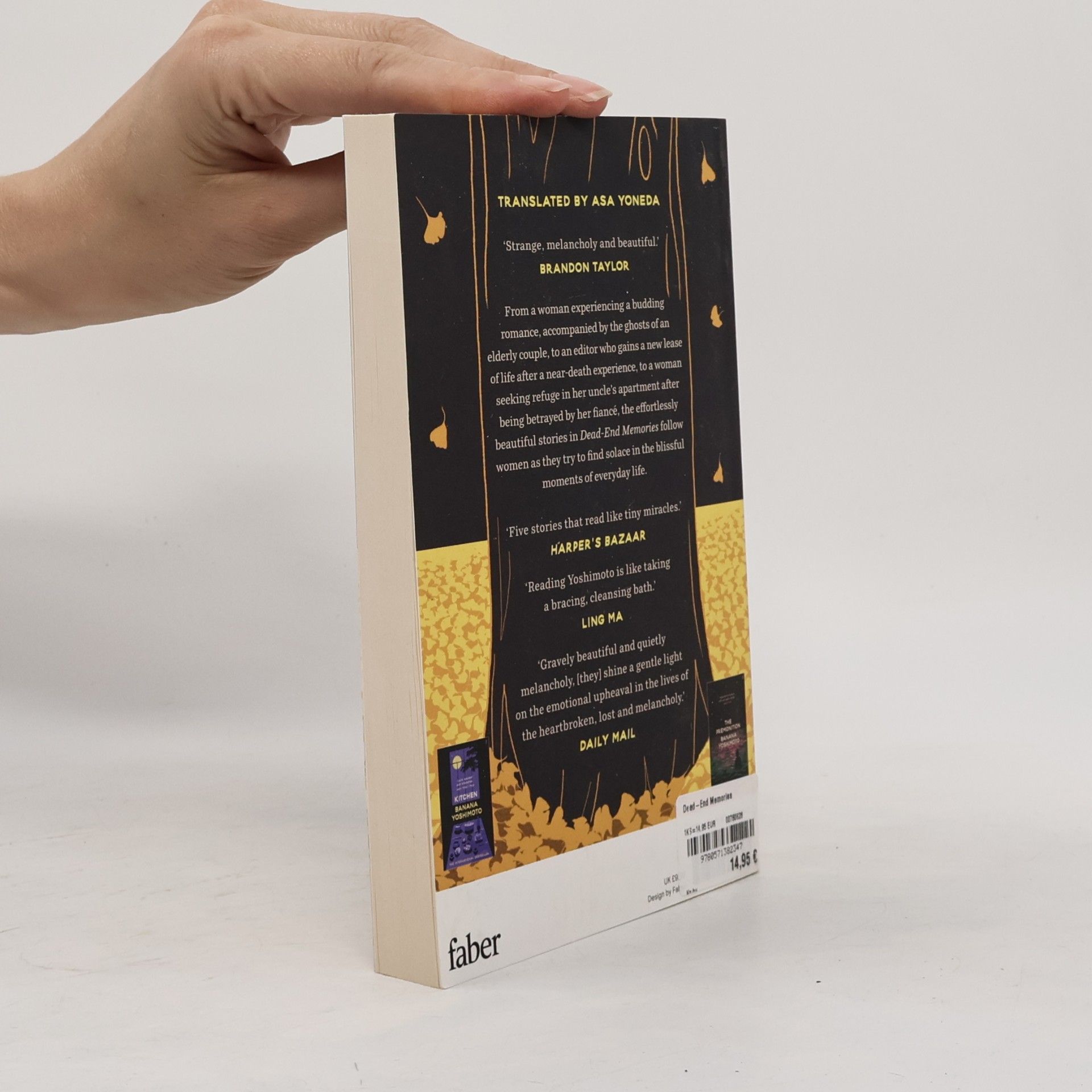 Banana Yoshimoto Dead End Memories