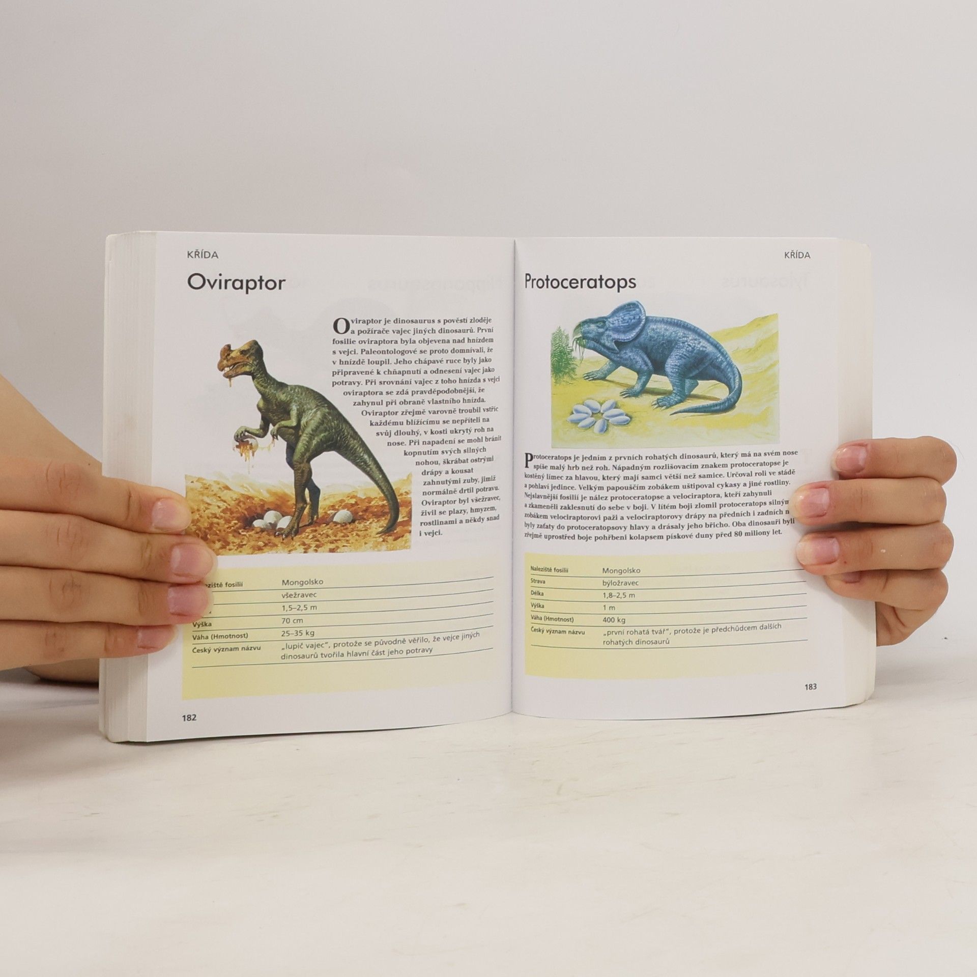Gerrie McCall Dinosauři. Od Alosaura k Tyranosaurovi