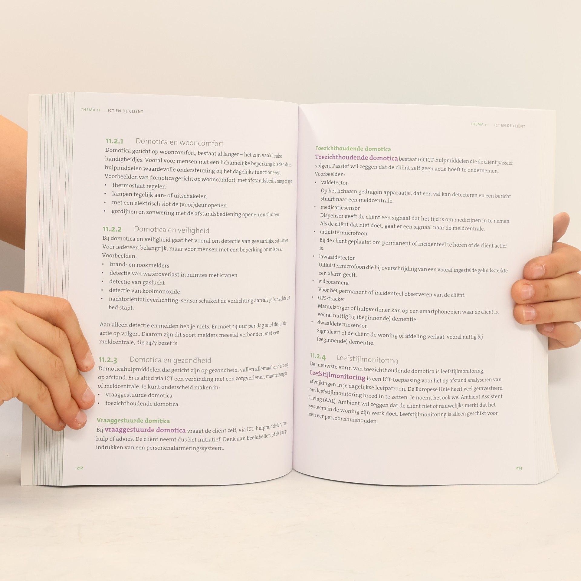 Autorenkollektiv Professioneel werken
