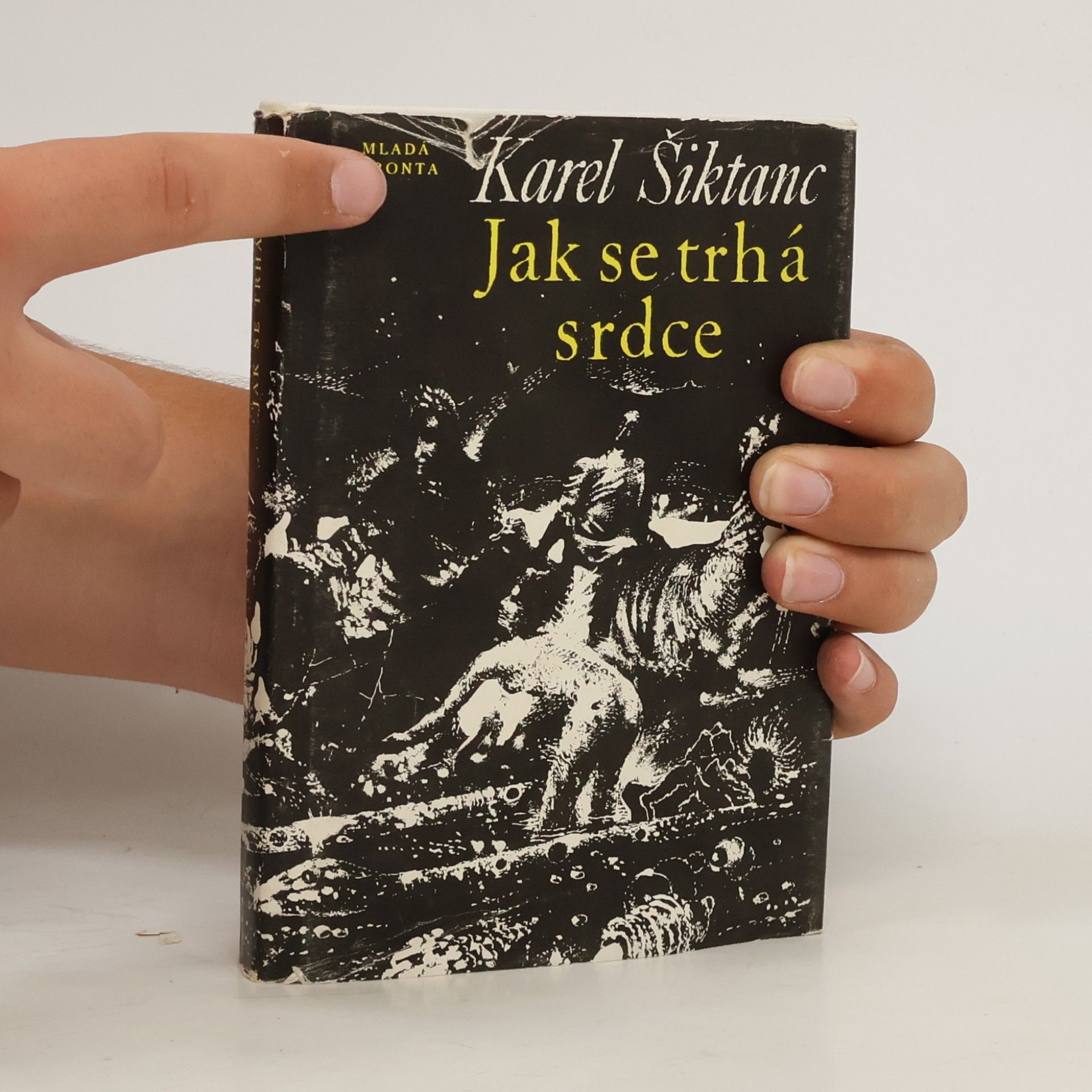 Karel Šiktanc Jak se trhá srdce